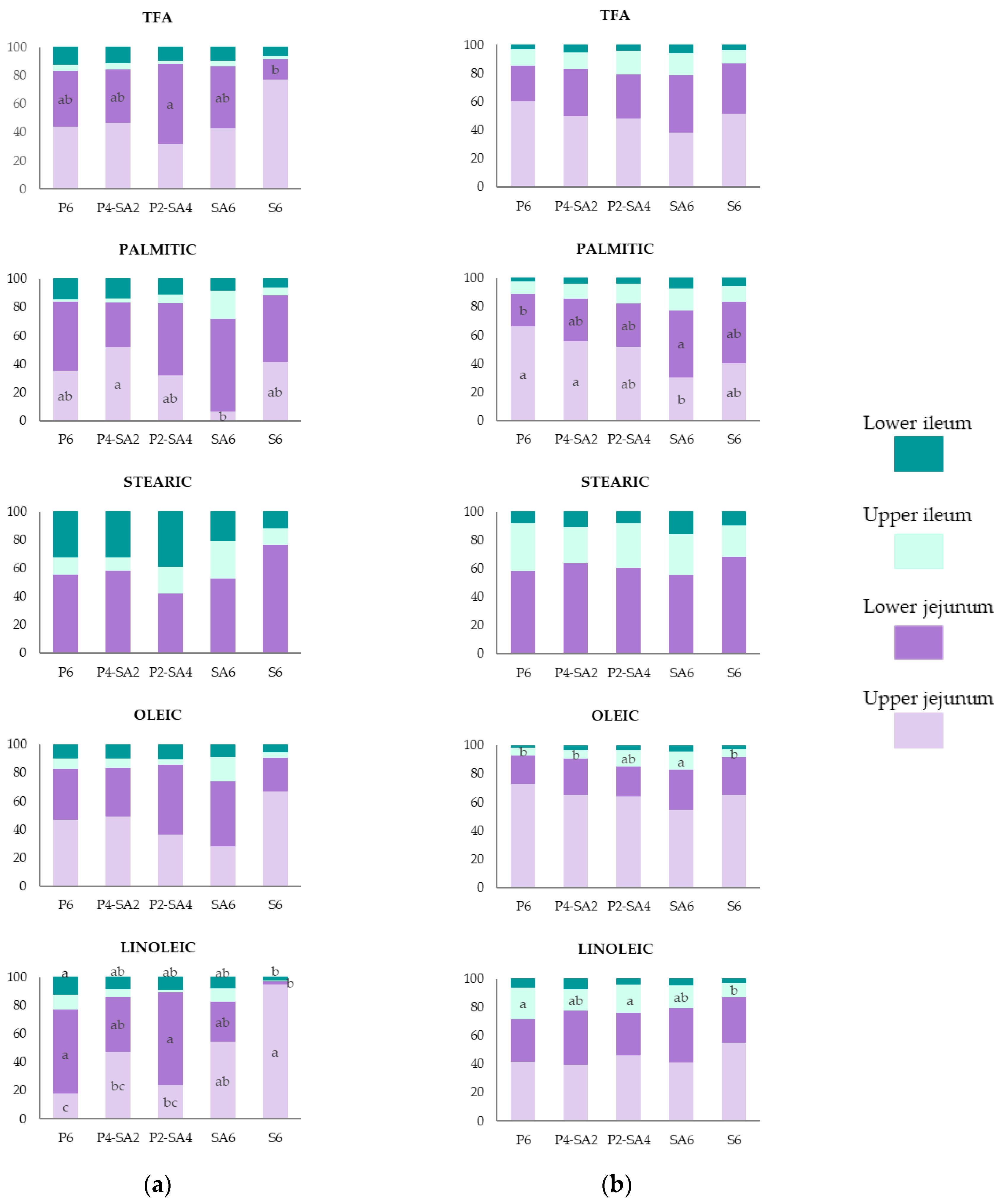 Animals 11 02586 g002