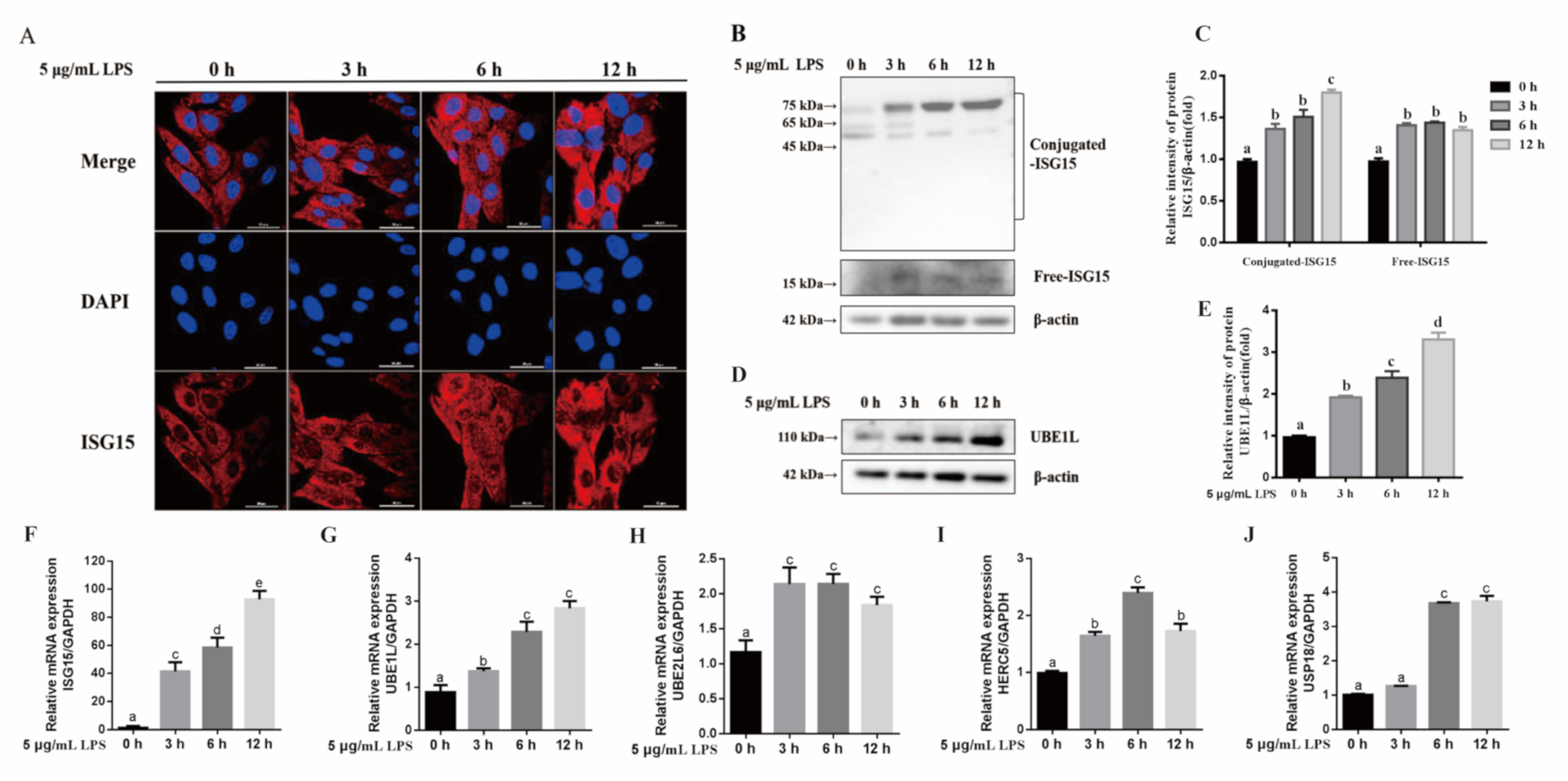 Animals 11 02593 g001 Animals 11 02593 g001