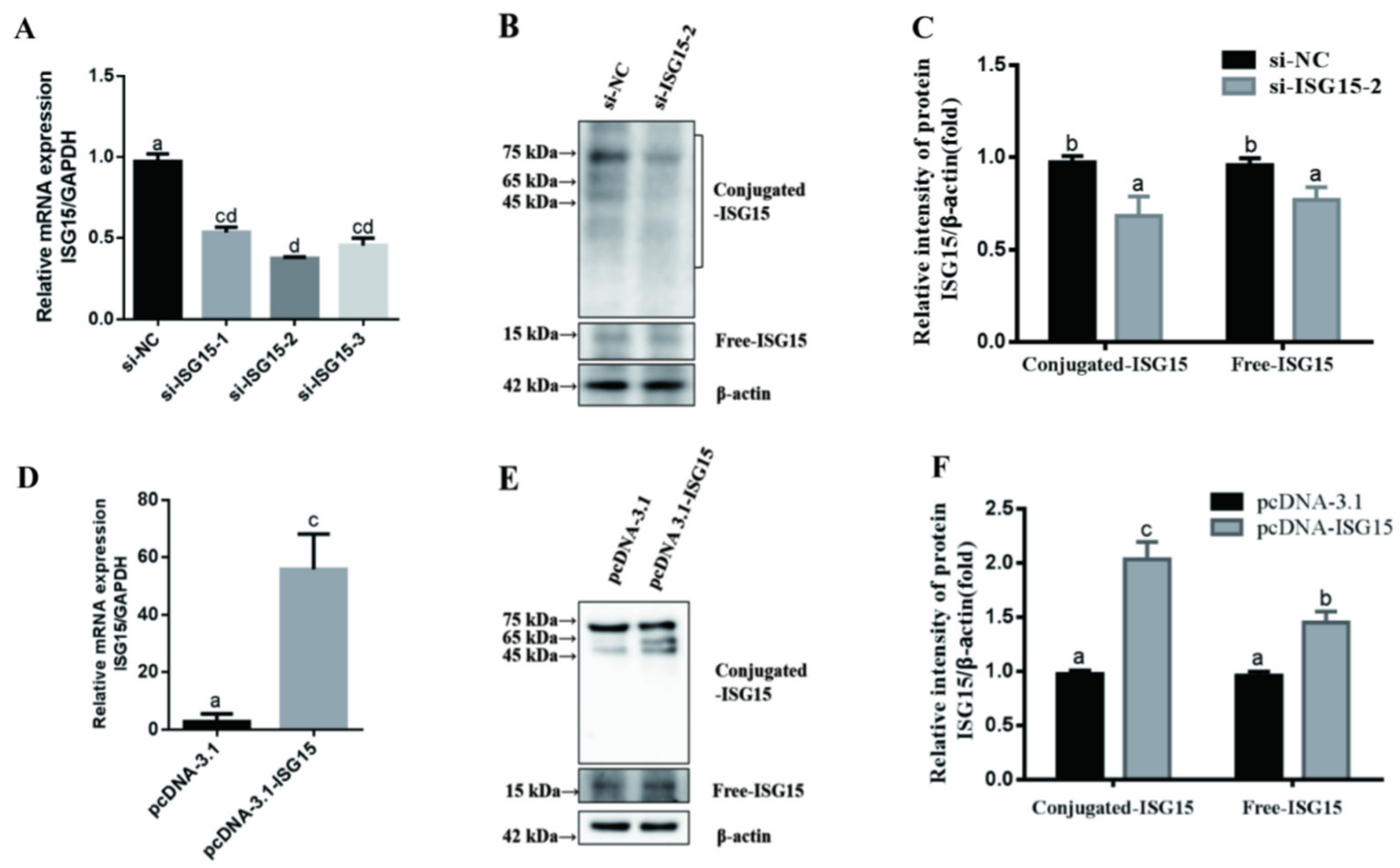 Animals 11 02593 g002 Animals 11 02593 g002