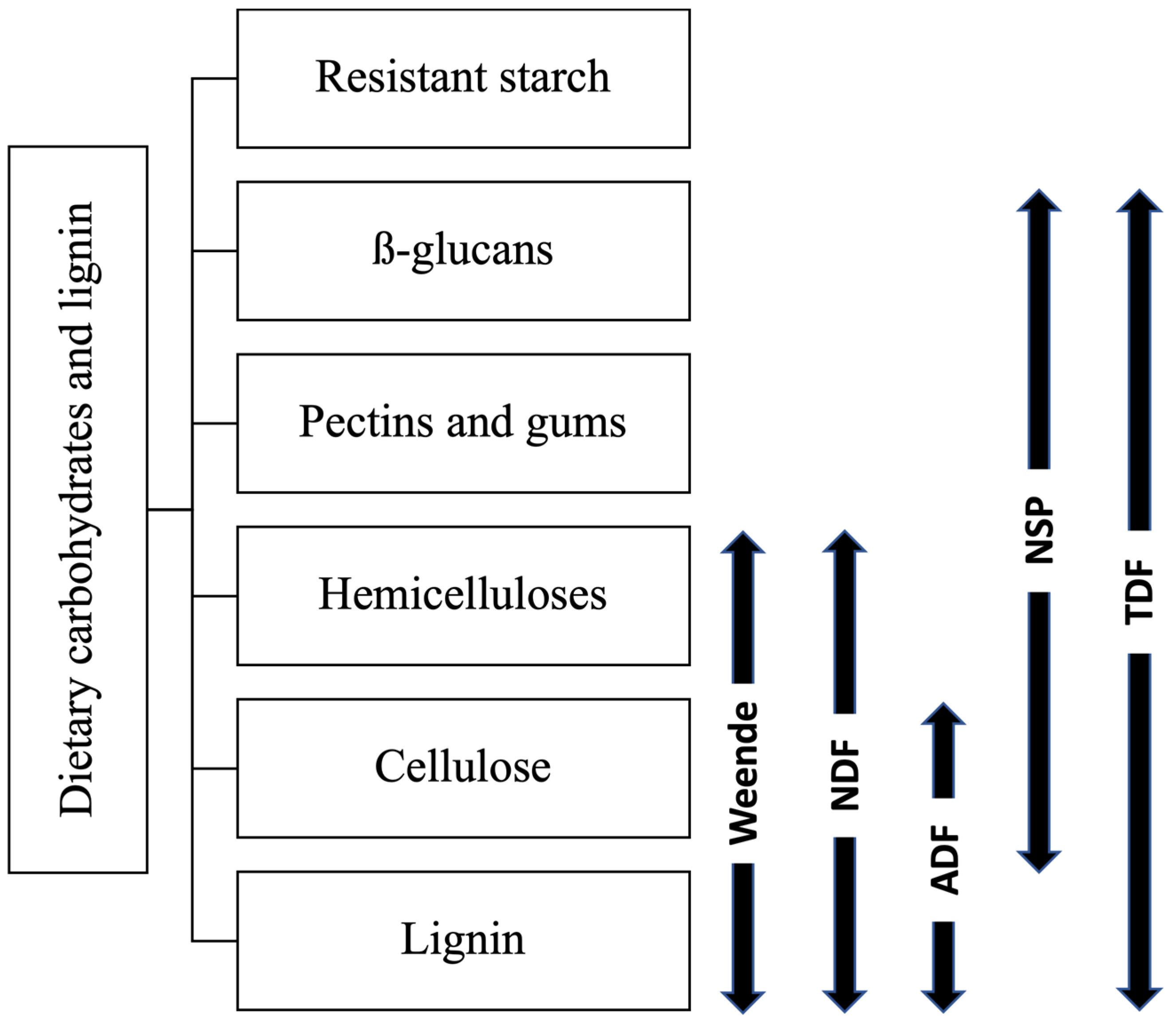 Animals | Free Full-Text | Toward Precise Nutrient Value of Feed in Growing  Pigs: Effect of Meal Size, Frequency and Dietary Fibre on Nutrient  Utilisation
