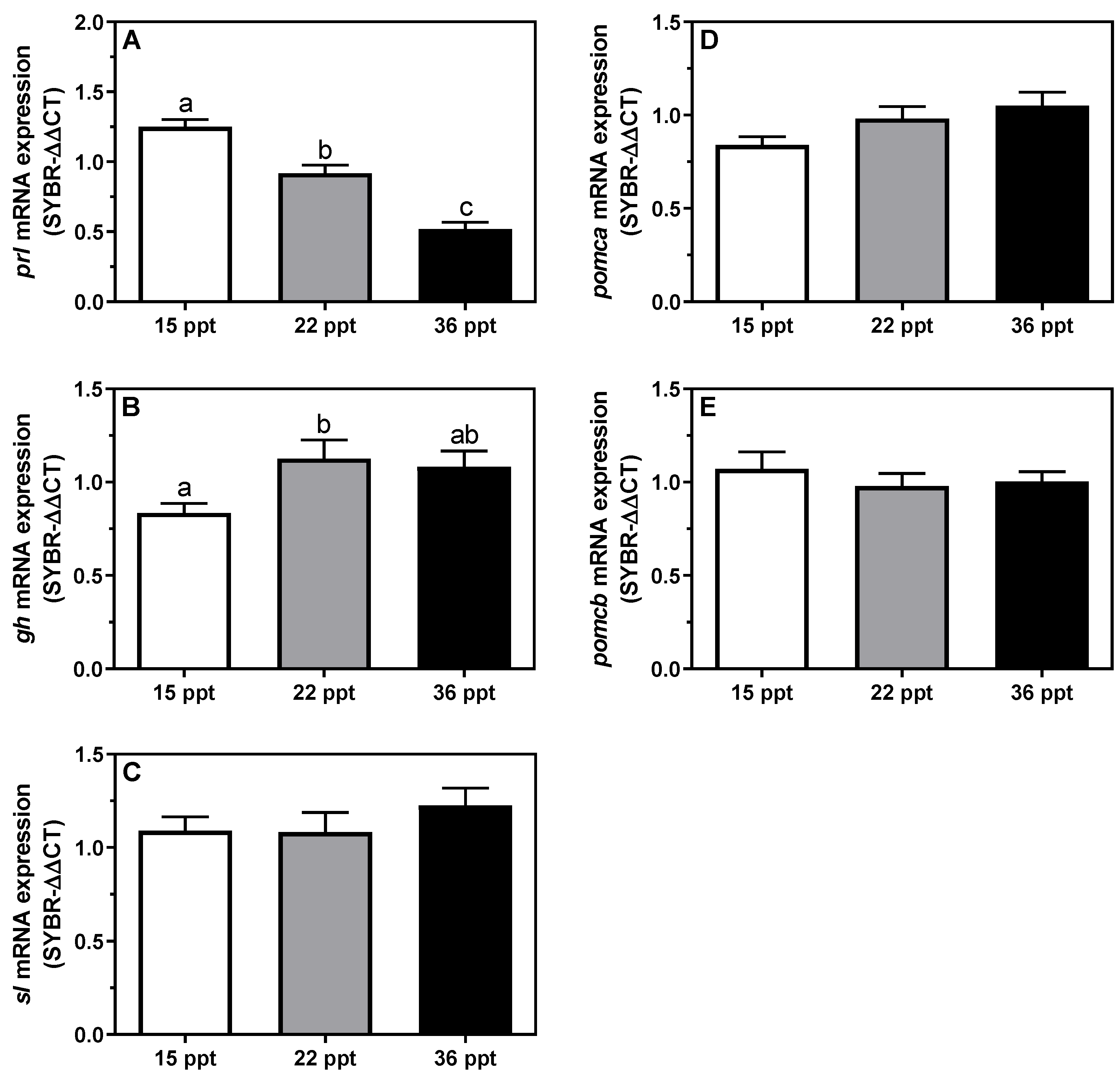 Animals 11 02607 g005
