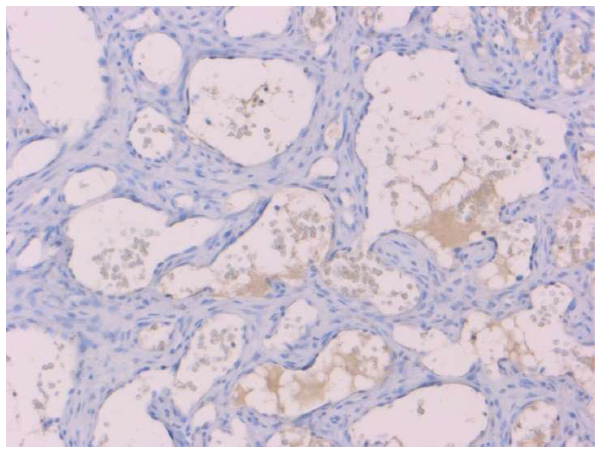 Animals 11 02612 g003 550