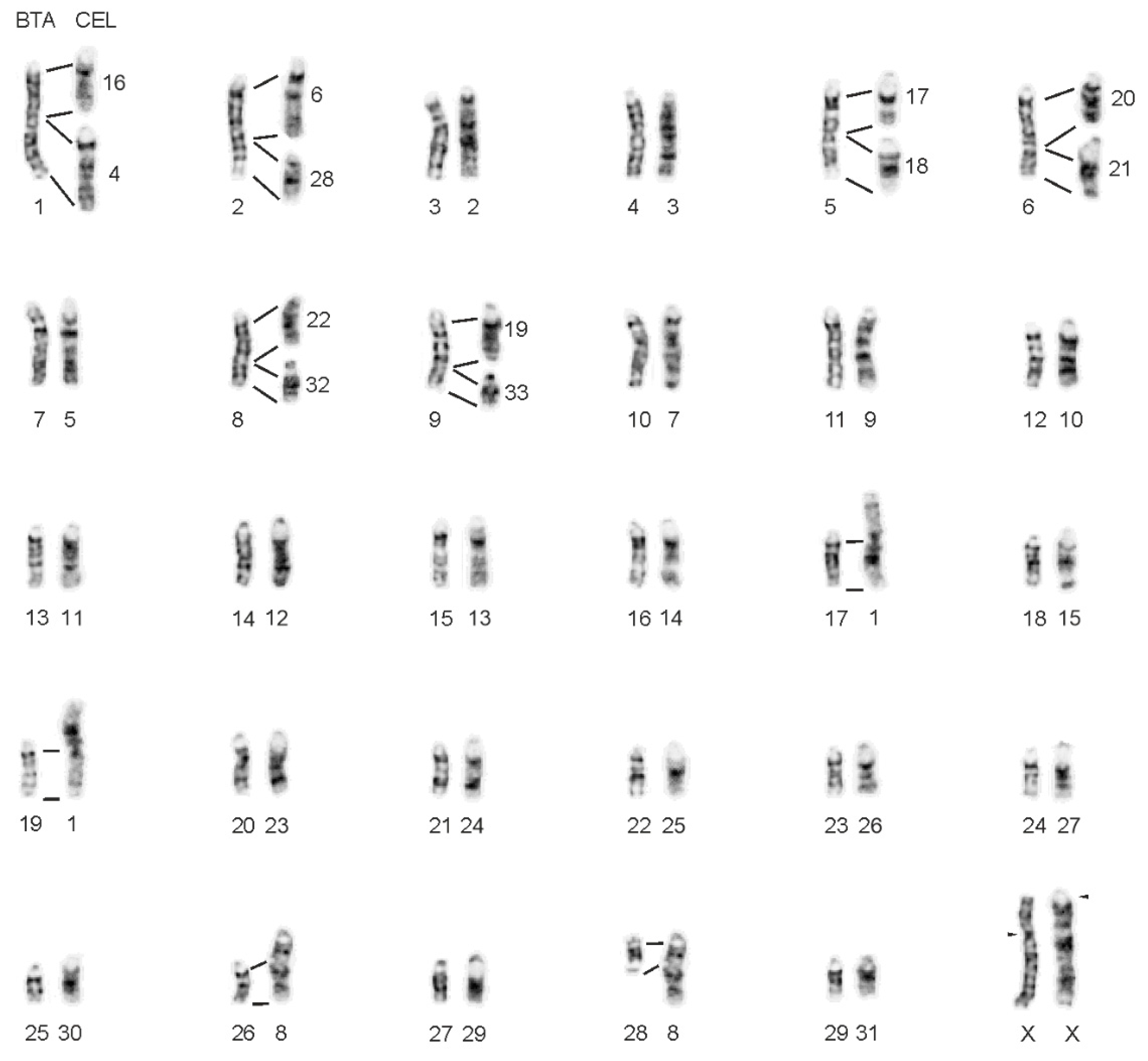 Animals 11 02614 g001 Animals 11 02614 g001