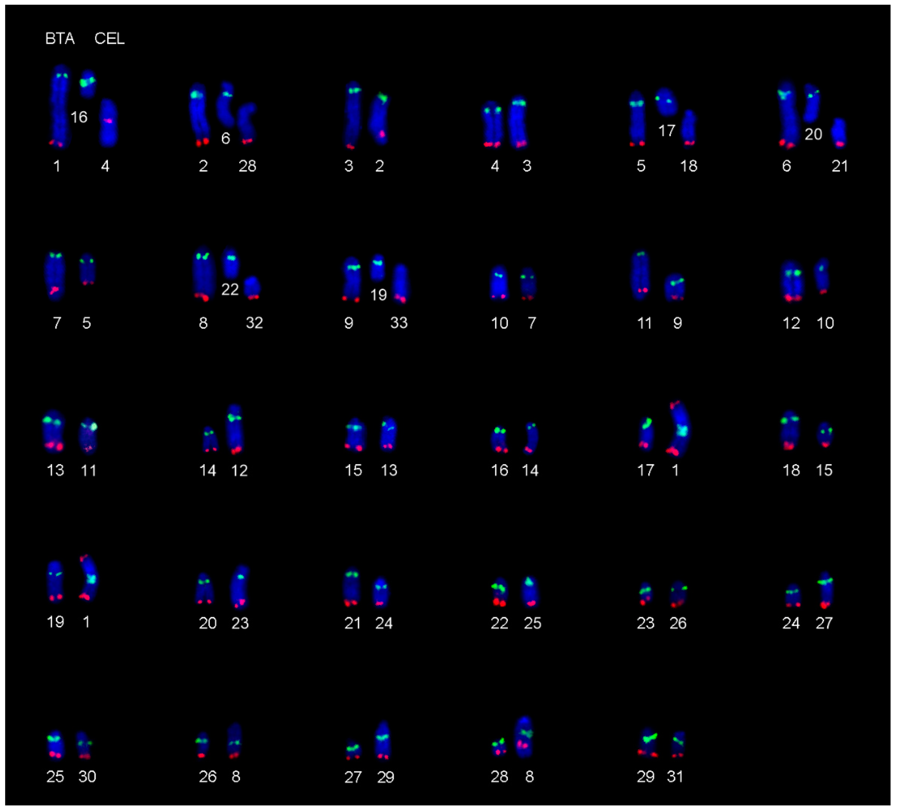 Animals 11 02614 g002 Animals 11 02614 g002