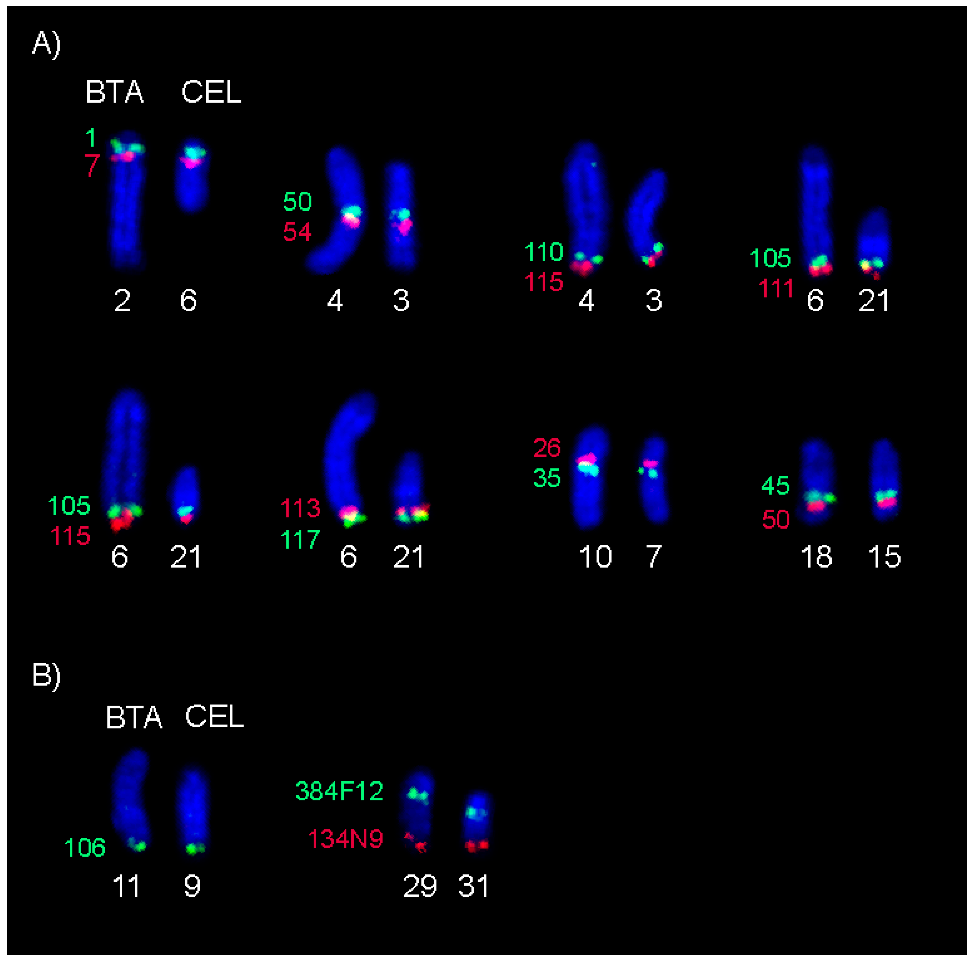 Animals 11 02614 g003 Animals 11 02614 g003