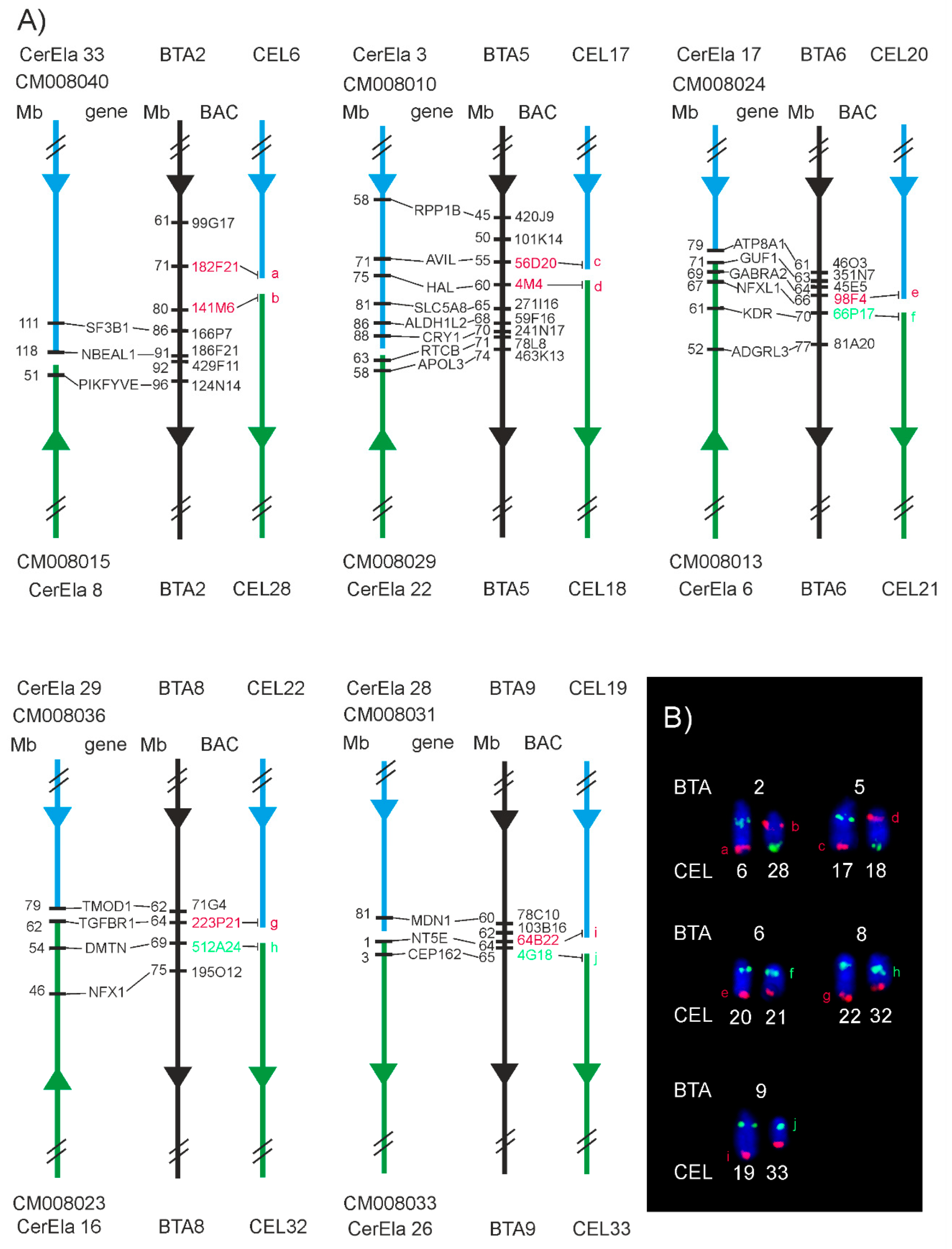 Animals 11 02614 g004 Animals 11 02614 g004
