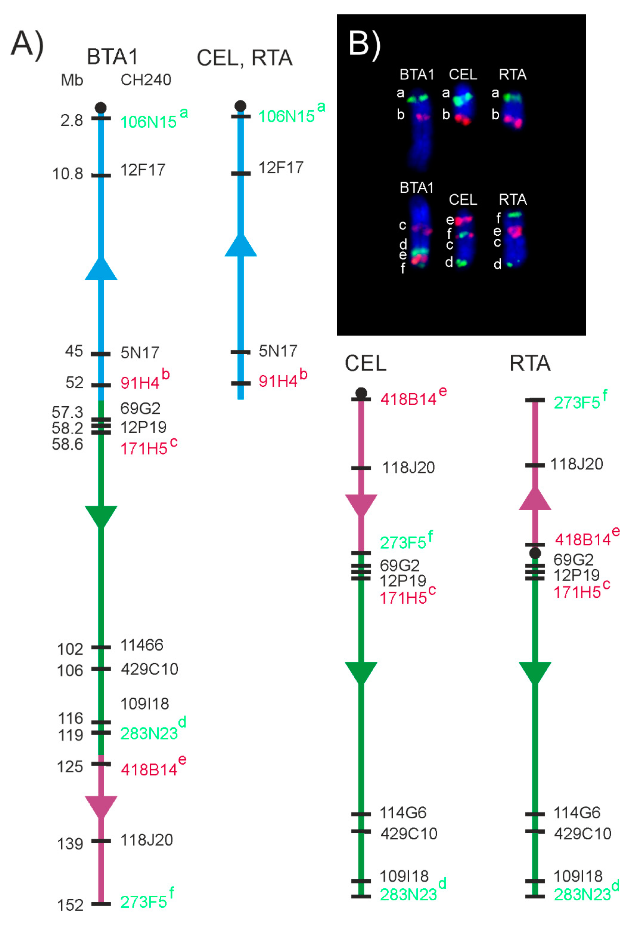 Animals 11 02614 g005 Animals 11 02614 g005