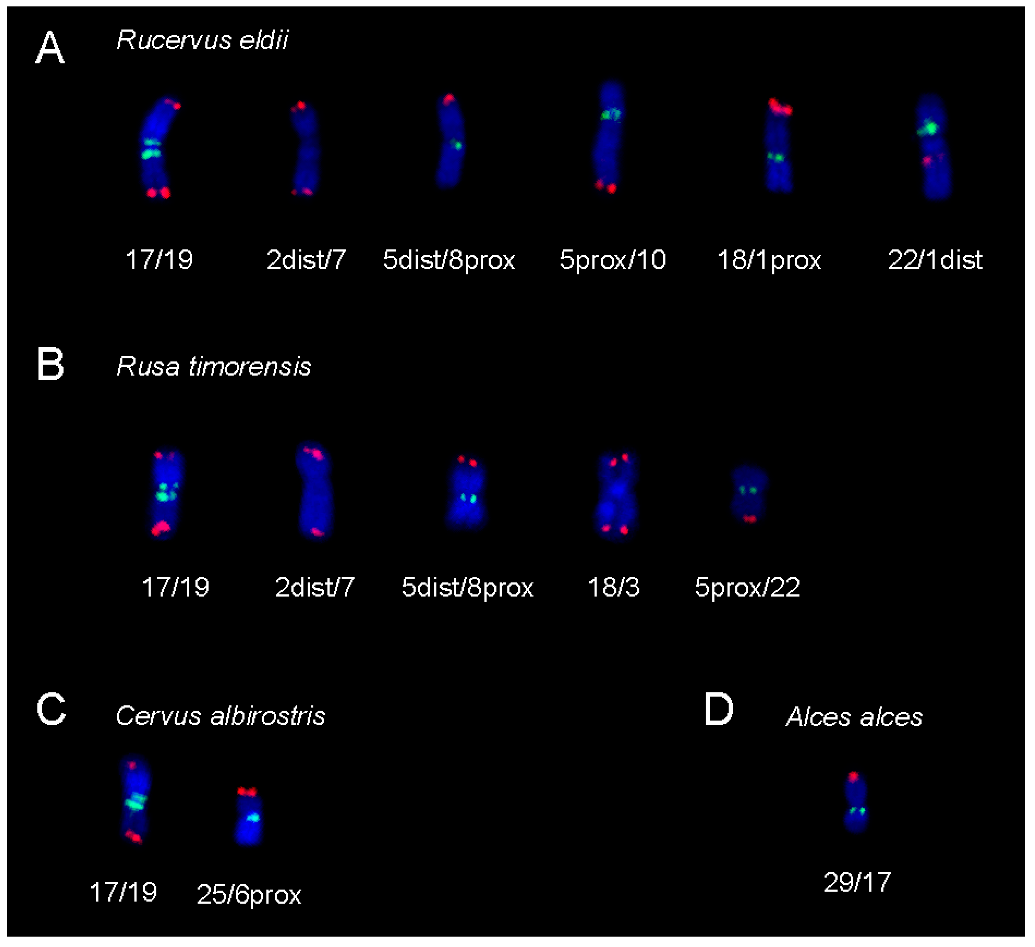Animals 11 02614 g006 Animals 11 02614 g006
