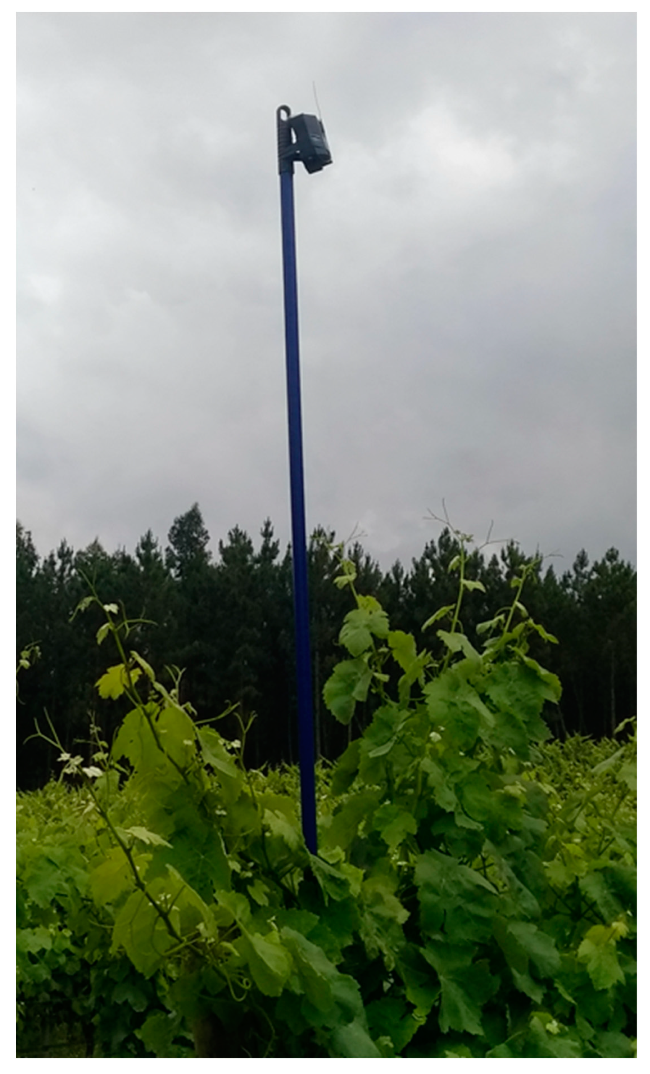 Animals 11 02625 g004