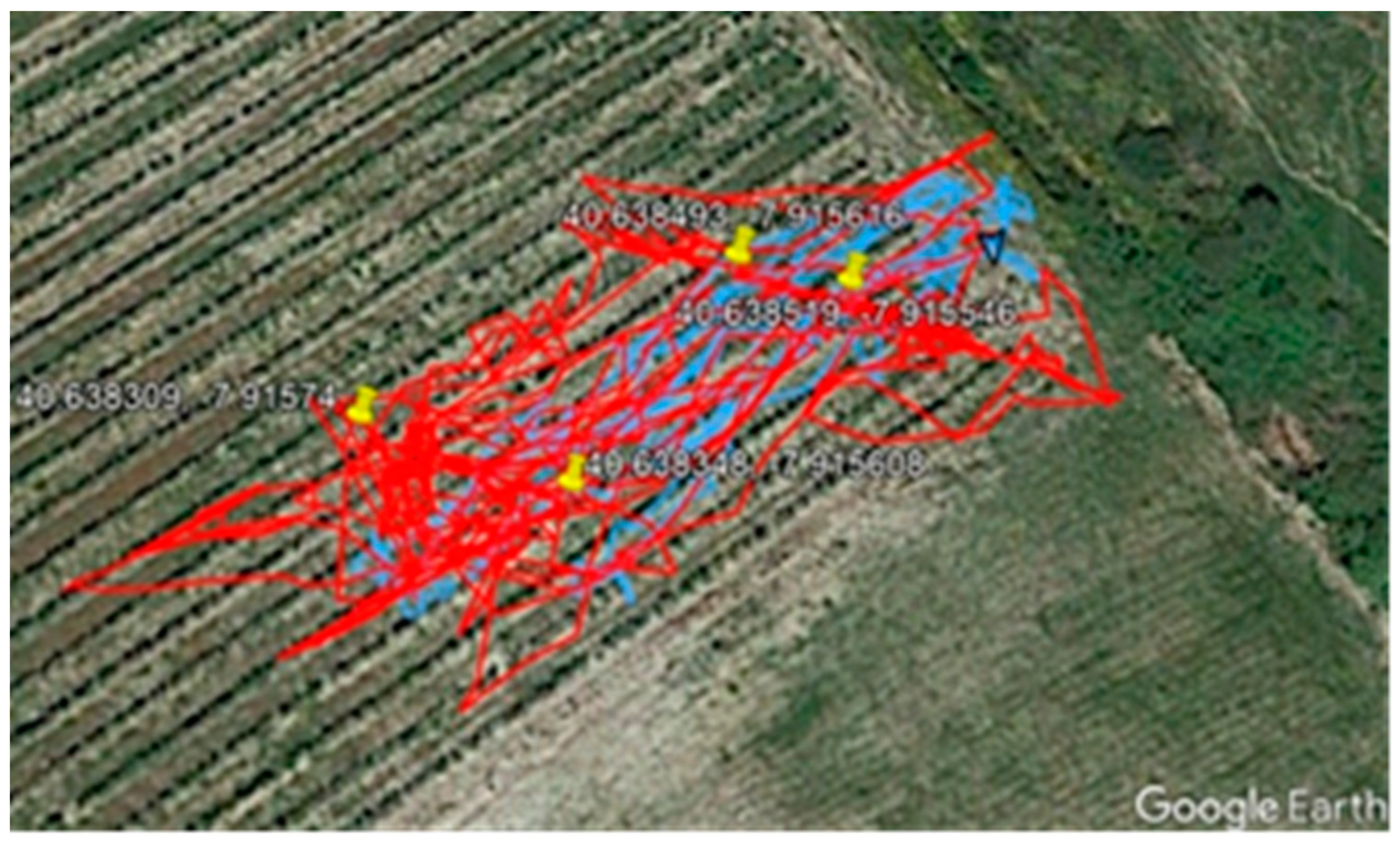 Animals 11 02625 g007