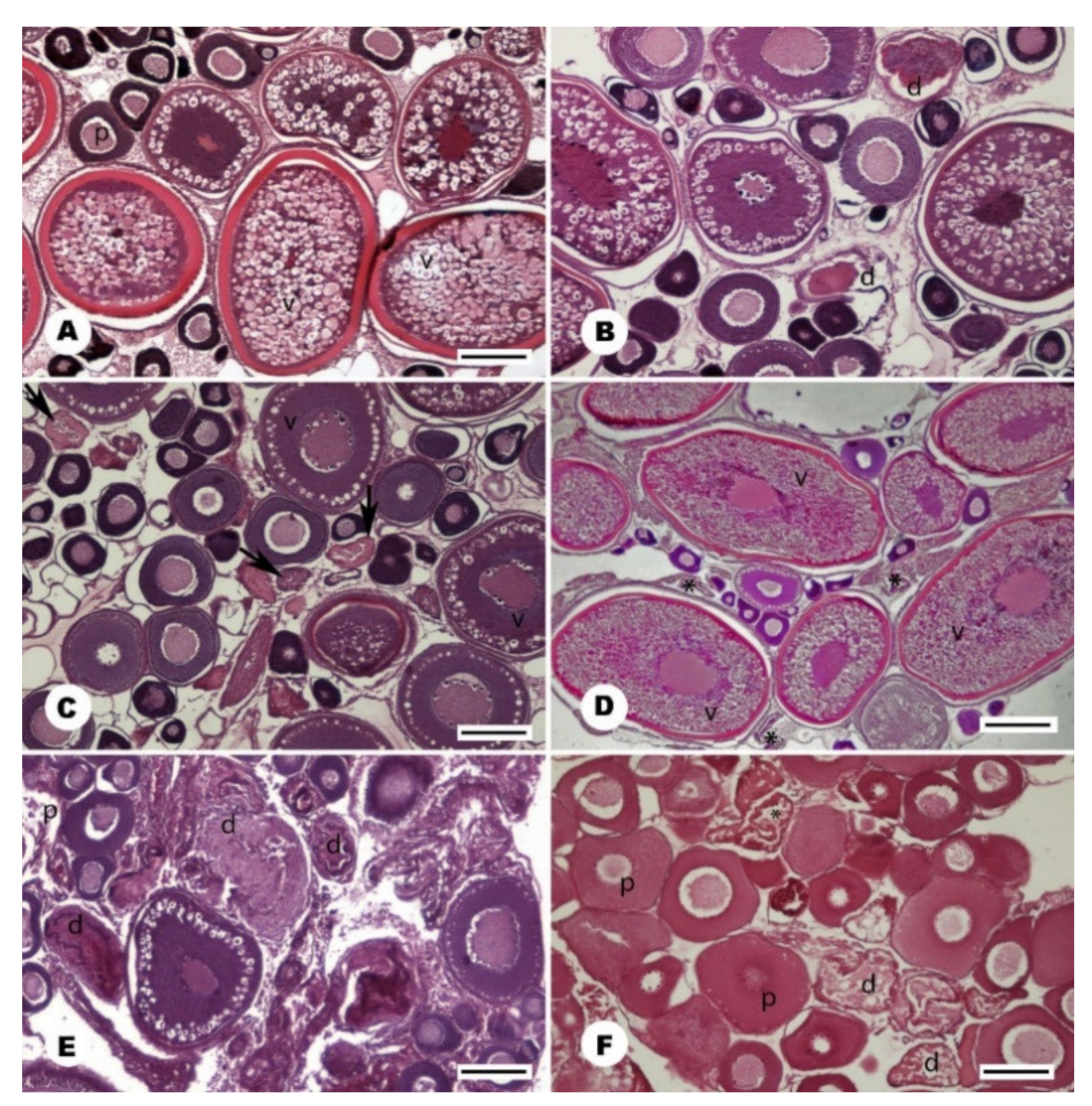 Animals 11 02627 g004 Animals 11 02627 g004