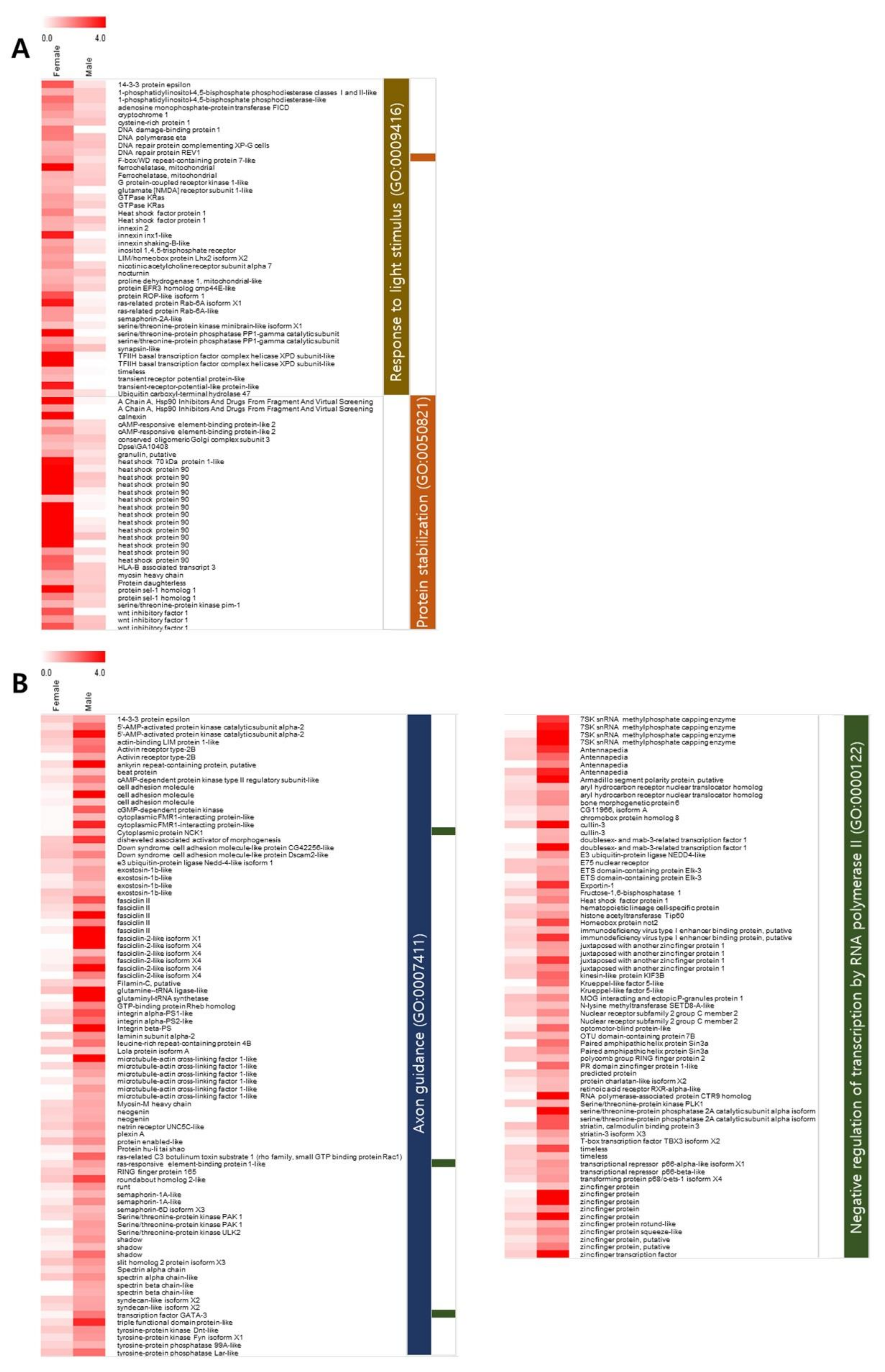 Animals 11 02630 g004 550