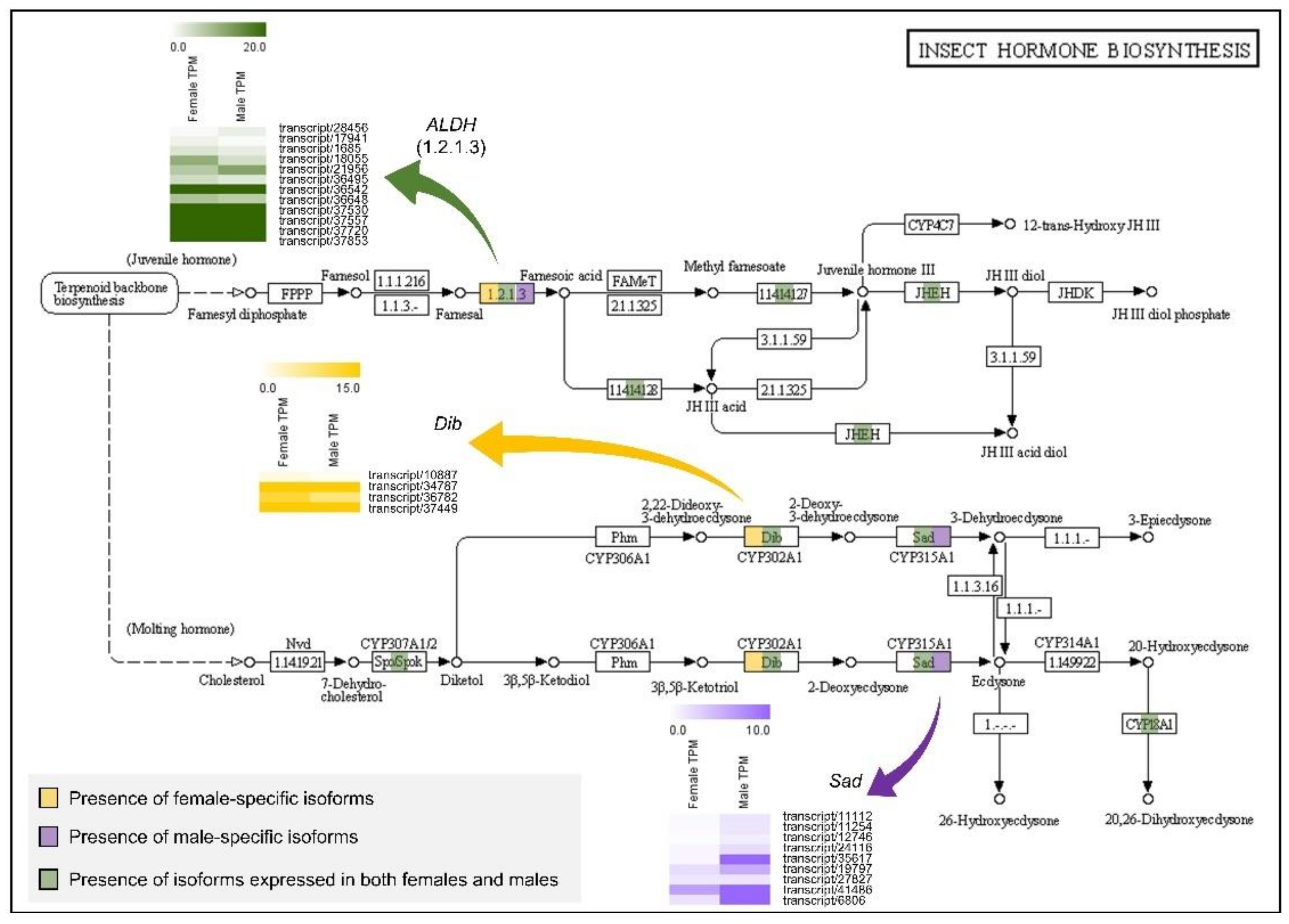 Animals 11 02630 g005 550