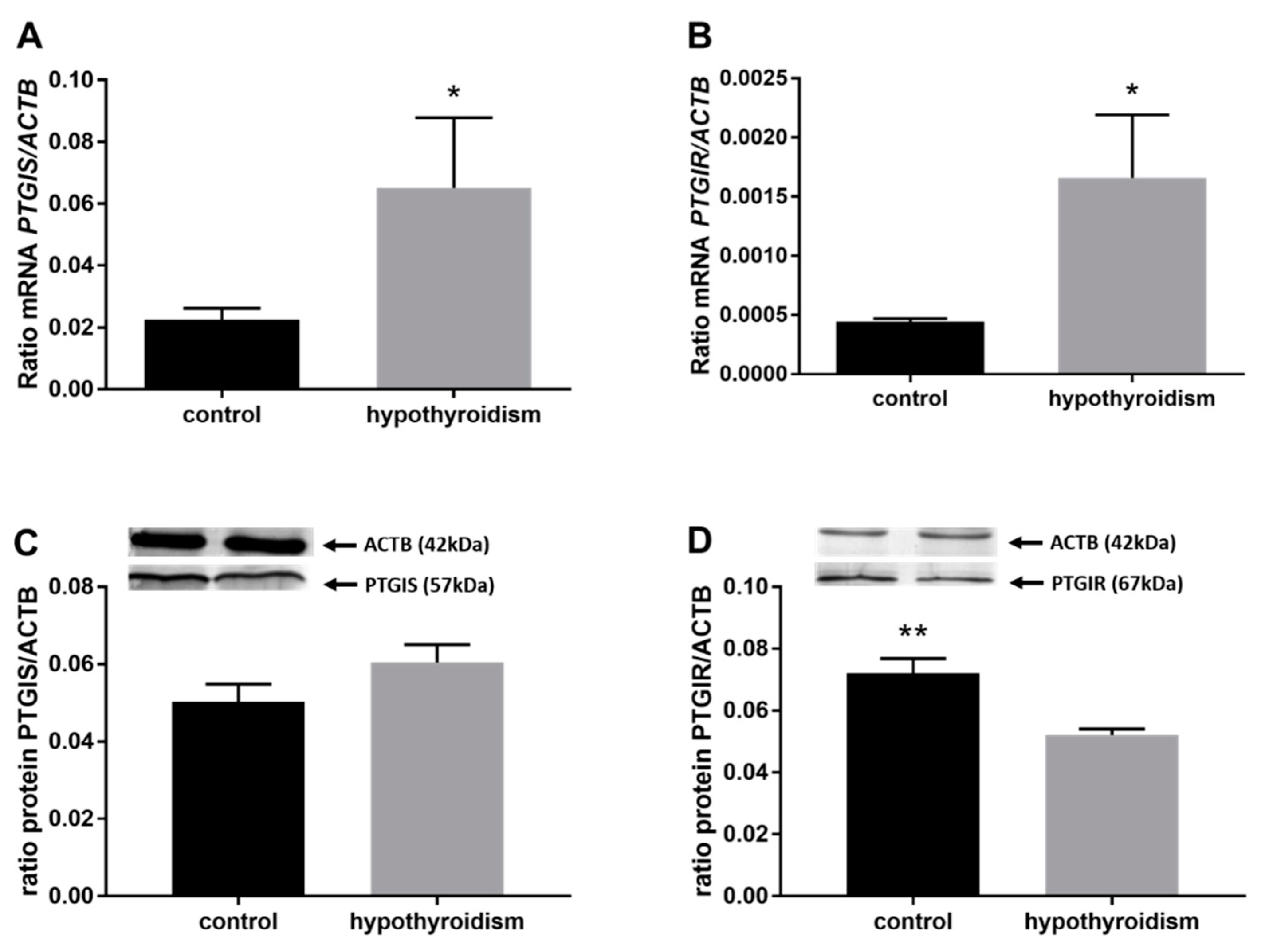 Animals 11 02636 g008 Animals 11 02636 g008