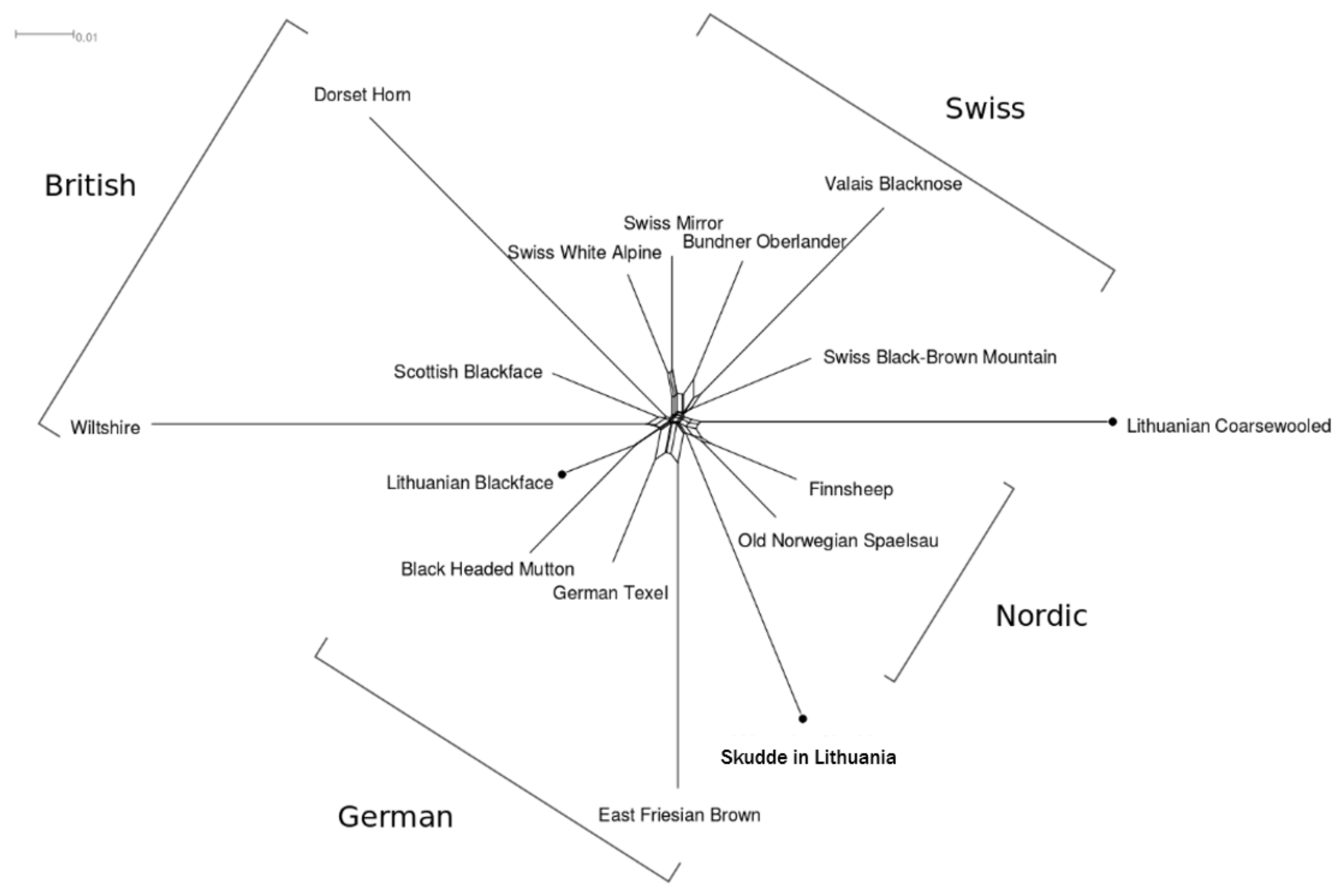 Animals 11 02651 g004