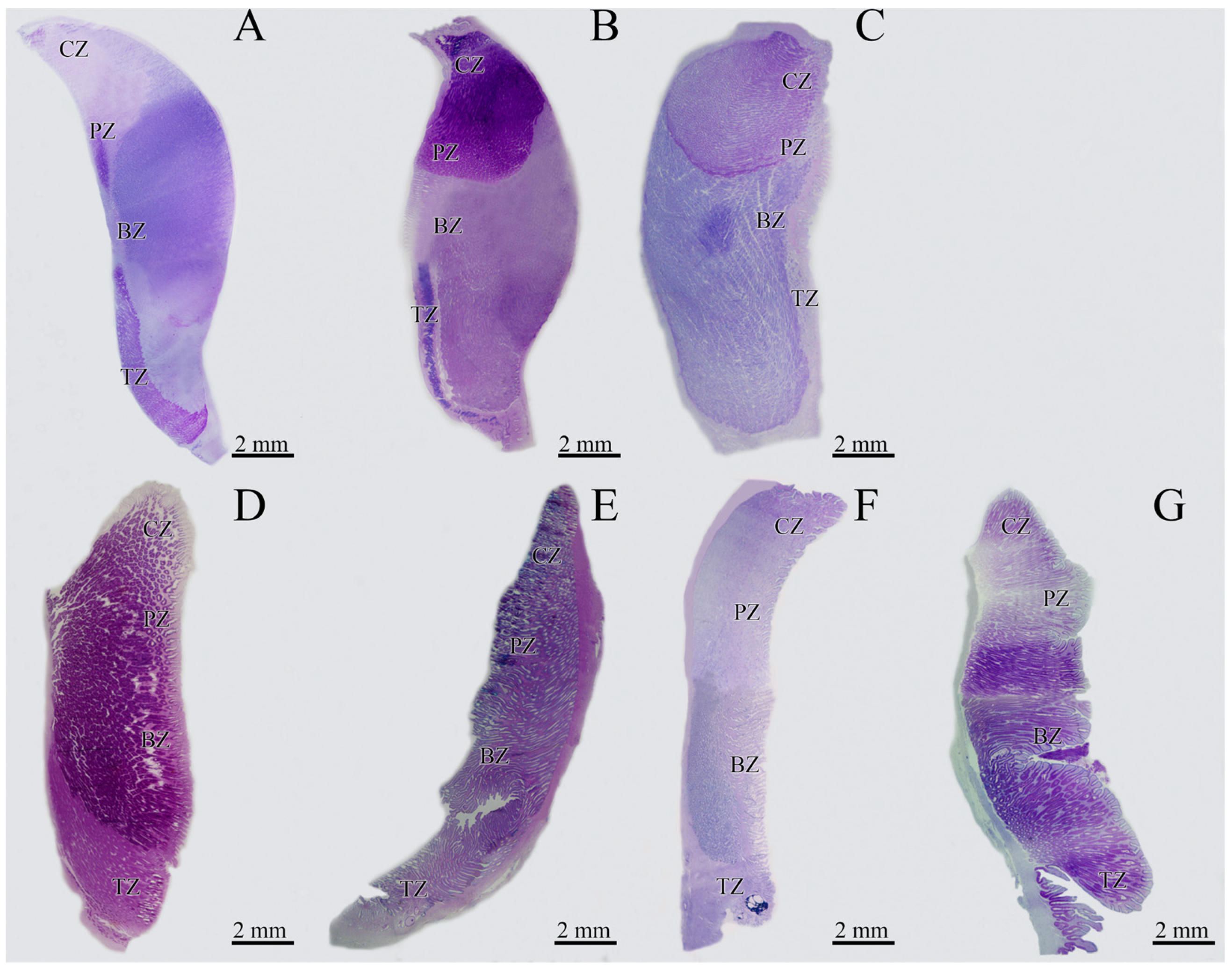 Animals 11 02653 g002 Animals 11 02653 g002