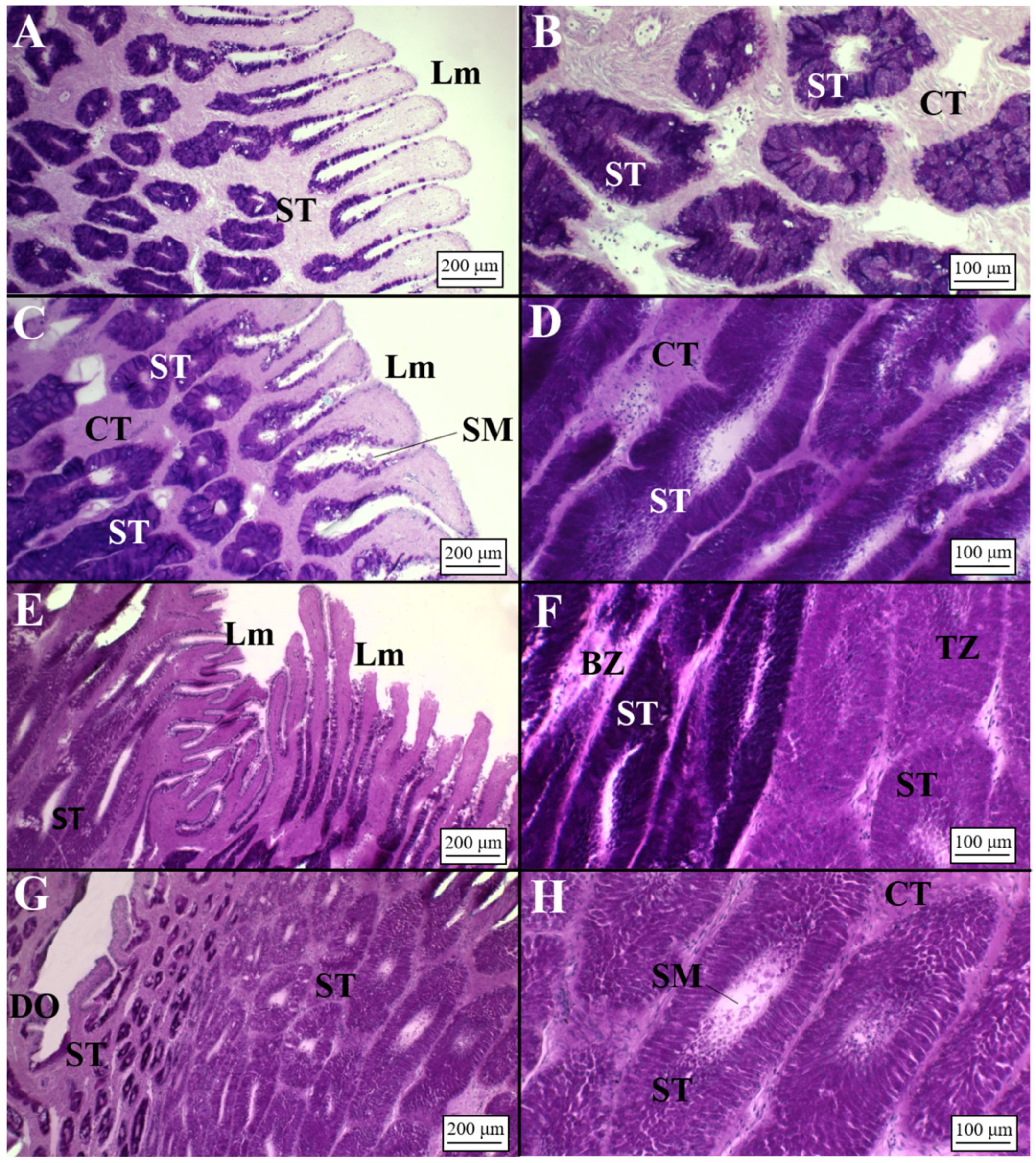 Animals 11 02653 g007 Animals 11 02653 g007