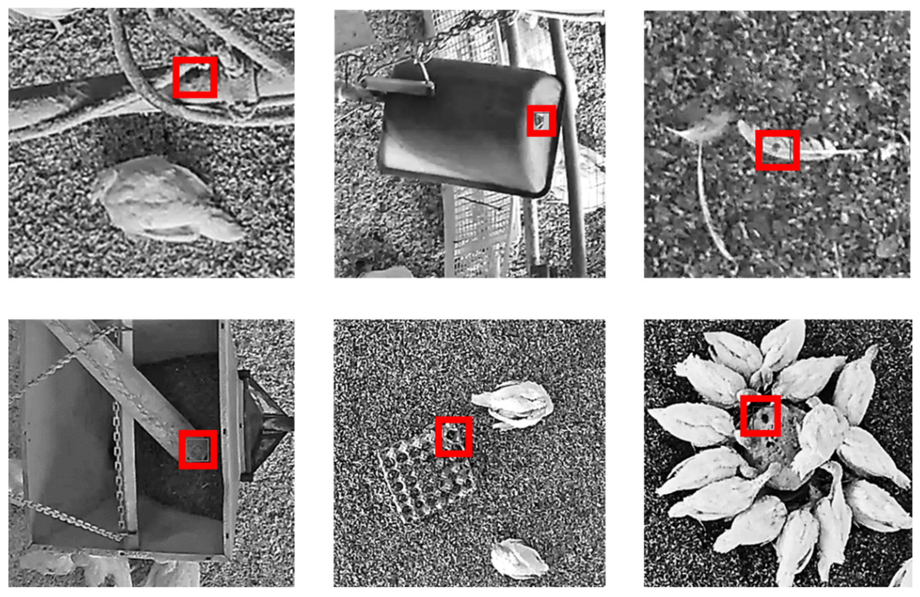 Animals 11 02655 g002 550