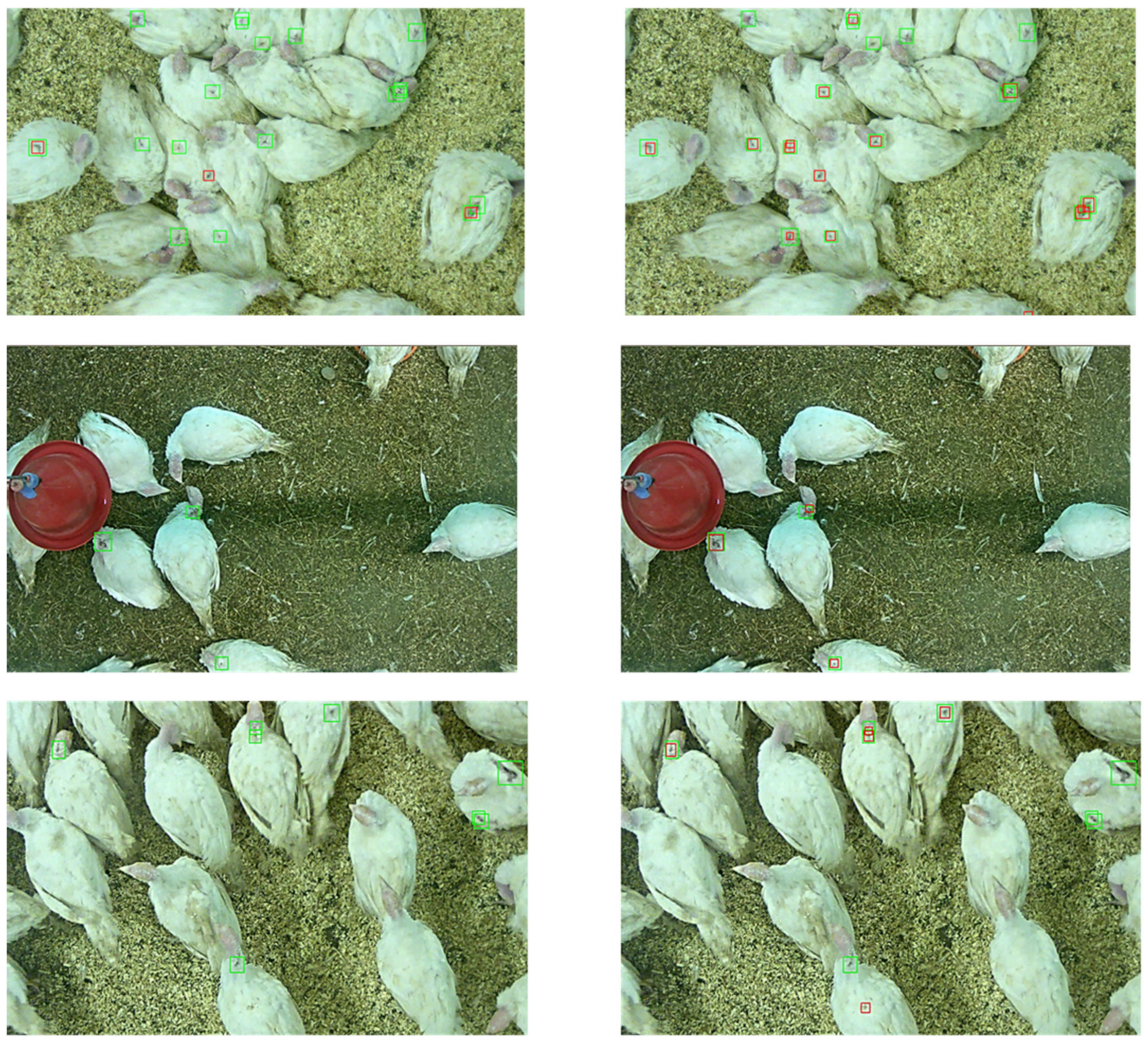 Animals 11 02655 g004 550