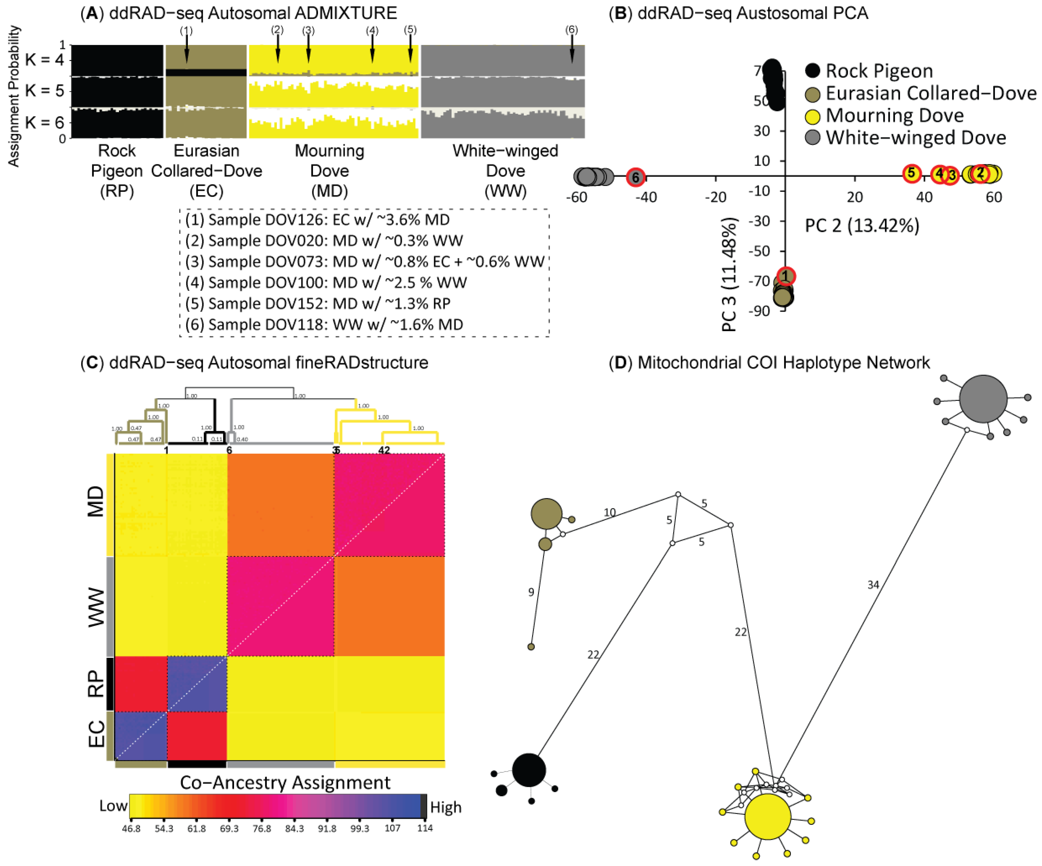 Animals 11 02677 g004