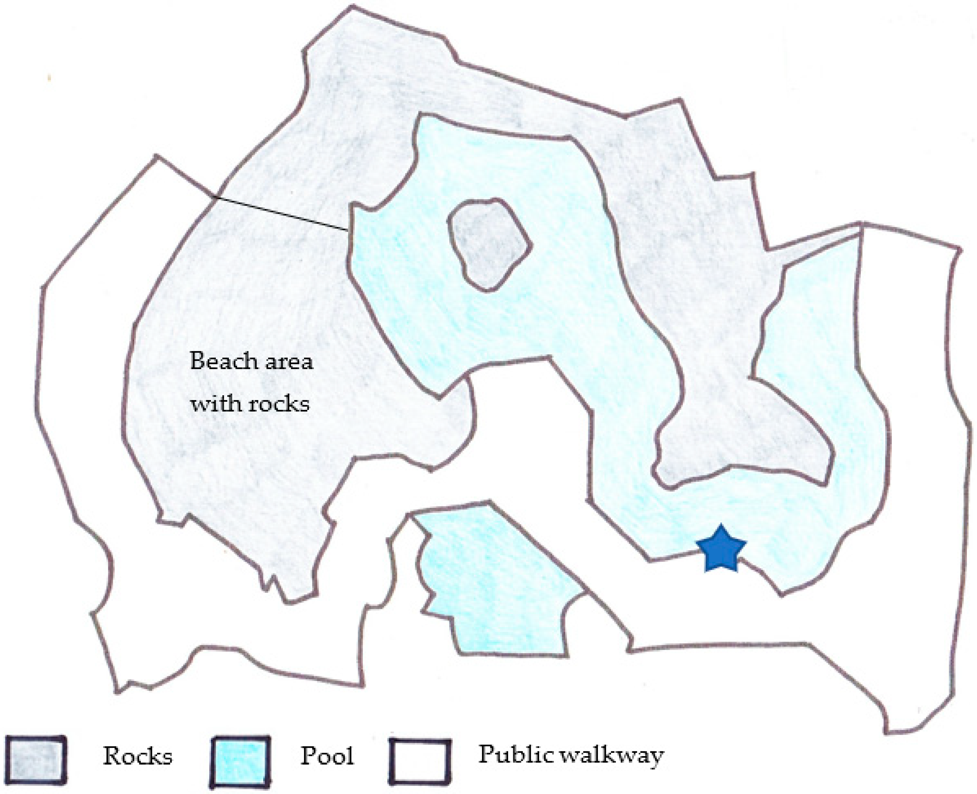 Animals Free Full Text Social Behaviour In Zoo Bachelor Groups A Case Study Of Related South American Fur Seals Html