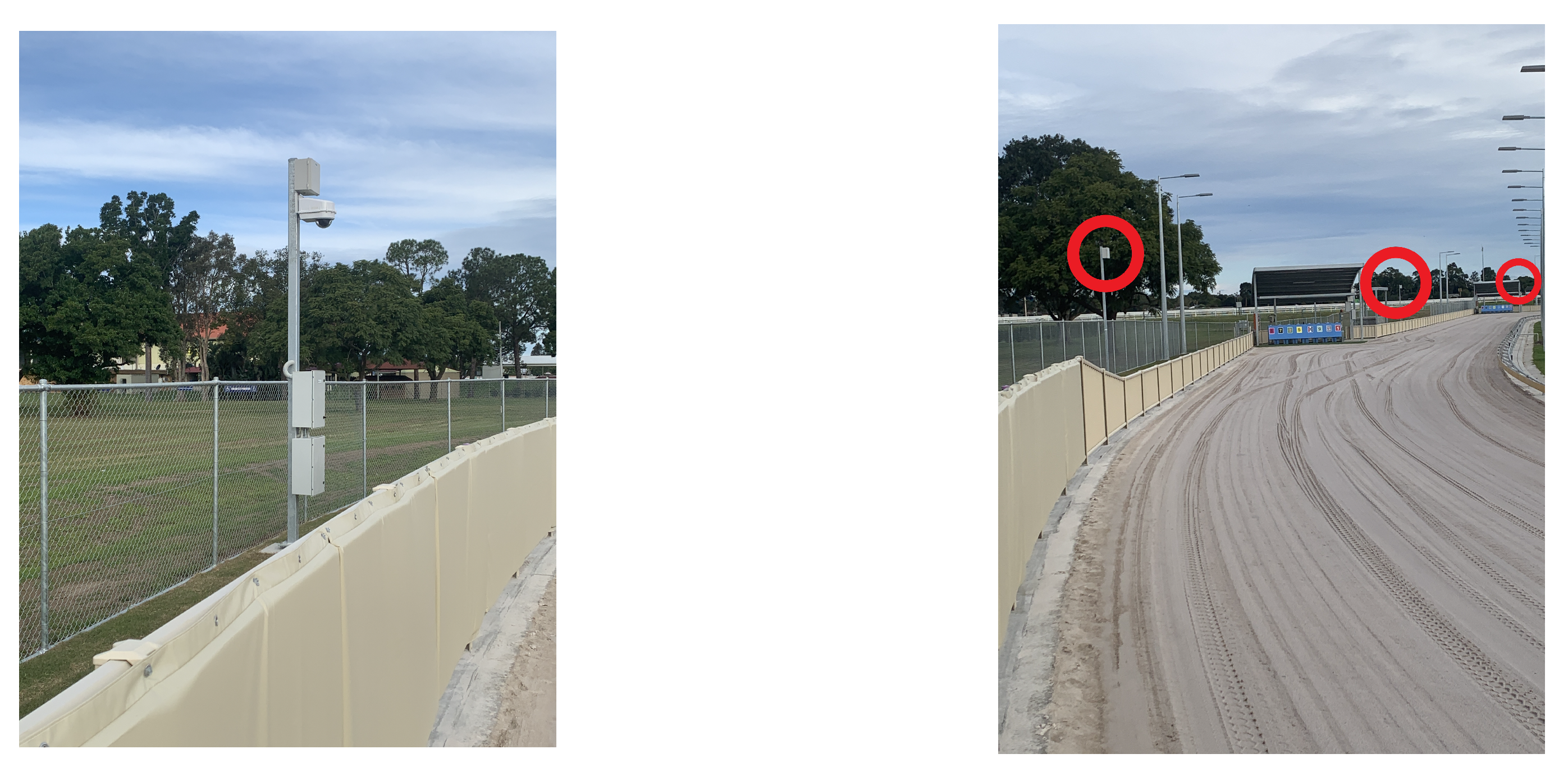 Animals 11 02687 g003 550