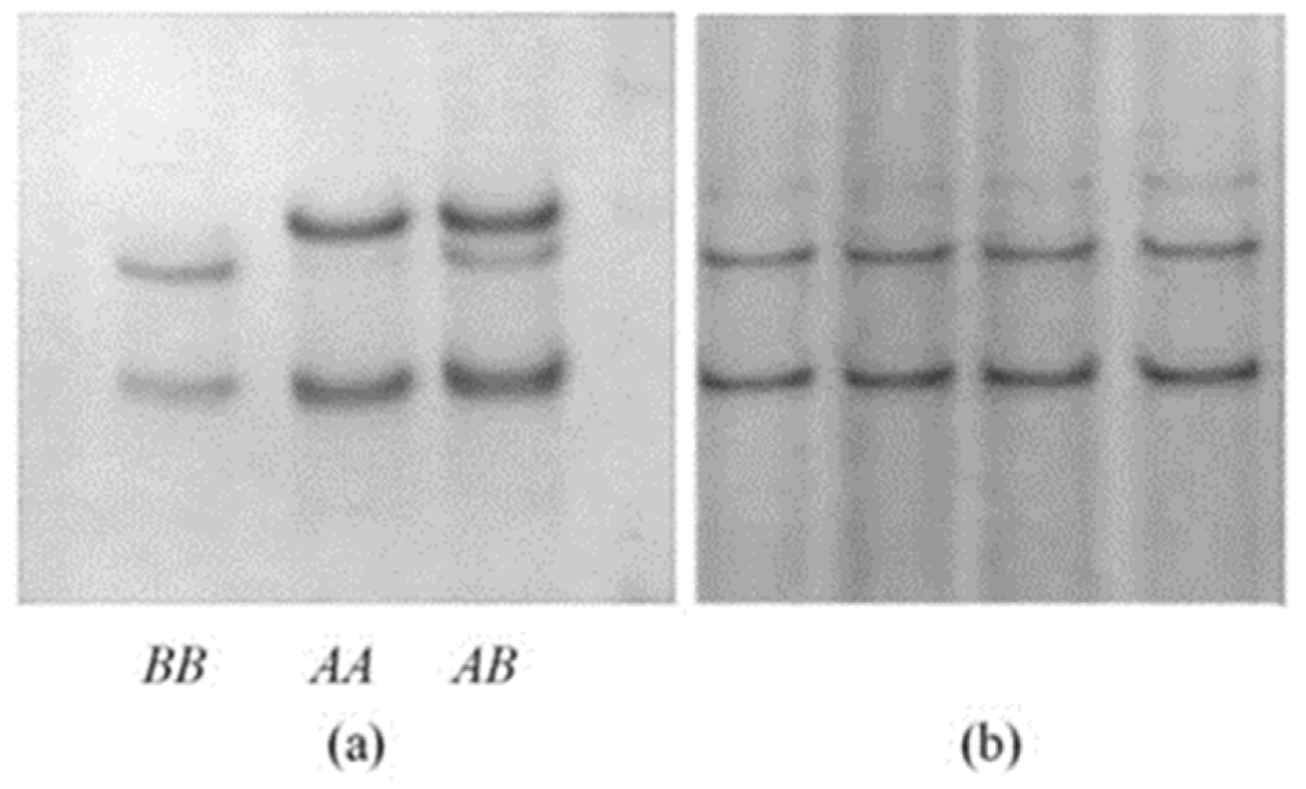 Animals 11 02690 g001 Animals 11 02690 g001