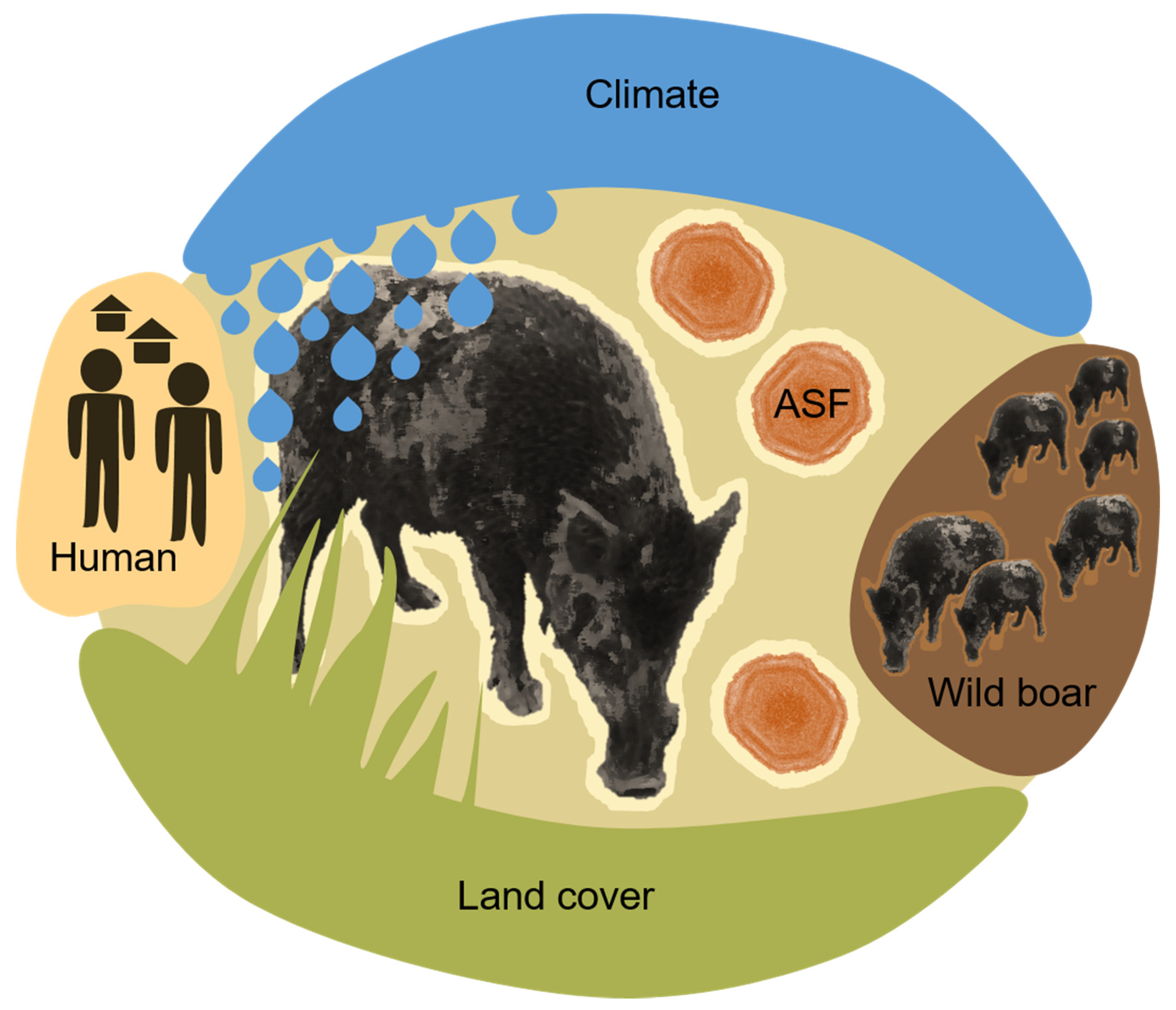 Animals 11 02692 g003 550