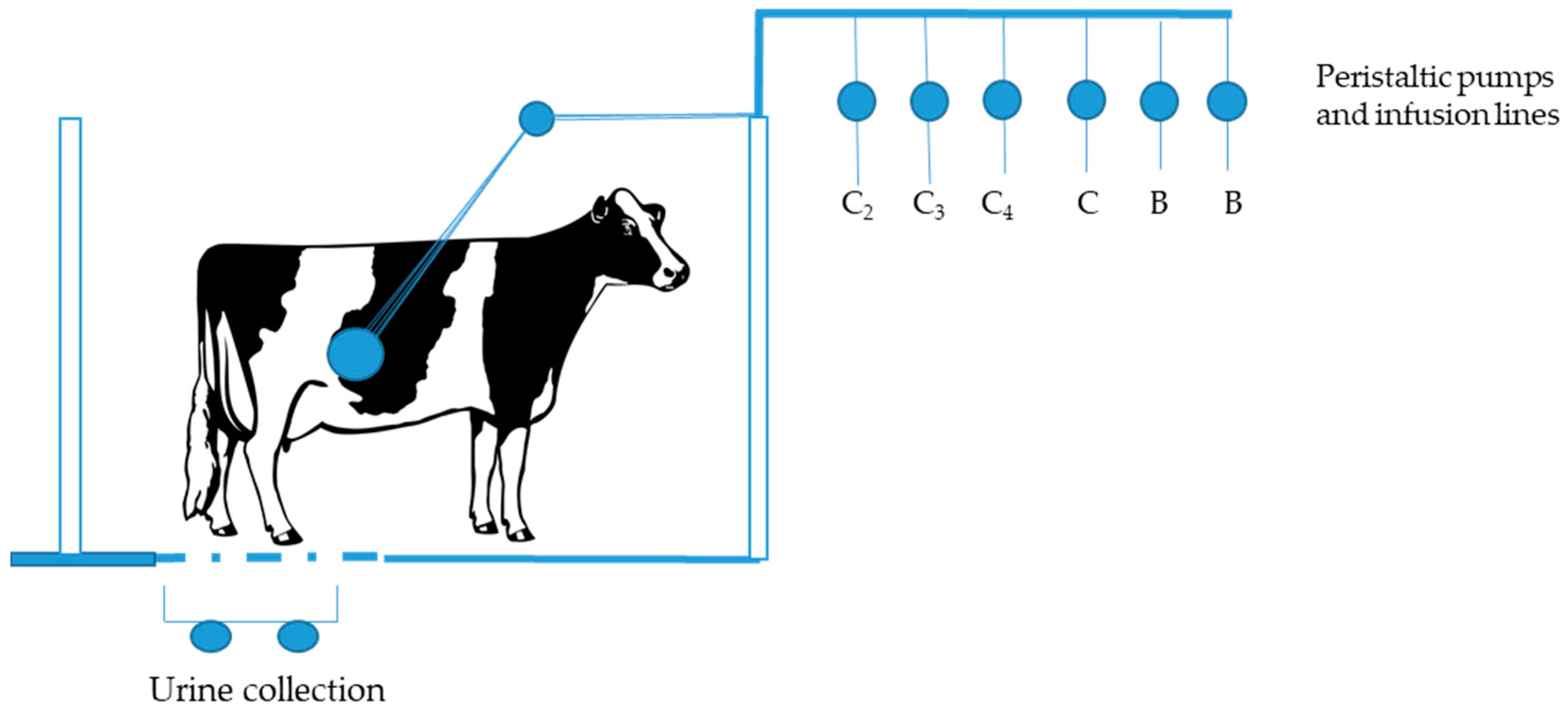Animals | Free Full-Text | Energy: Protein Ratio in Ruminants: Insights from the Intragastric Infusion Technique Animals | Free Full-Text | Energy: Protein Ratio in Ruminants: Insights from the Intragastric Infusion Technique
