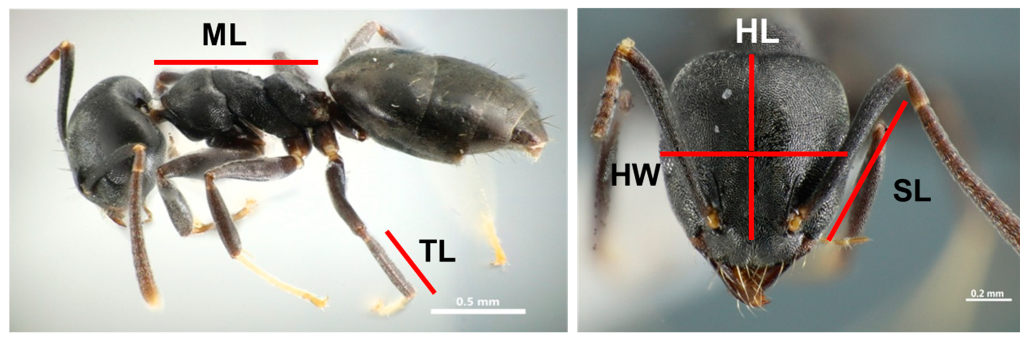 Animals 11 02702 g002 Animals 11 02702 g002