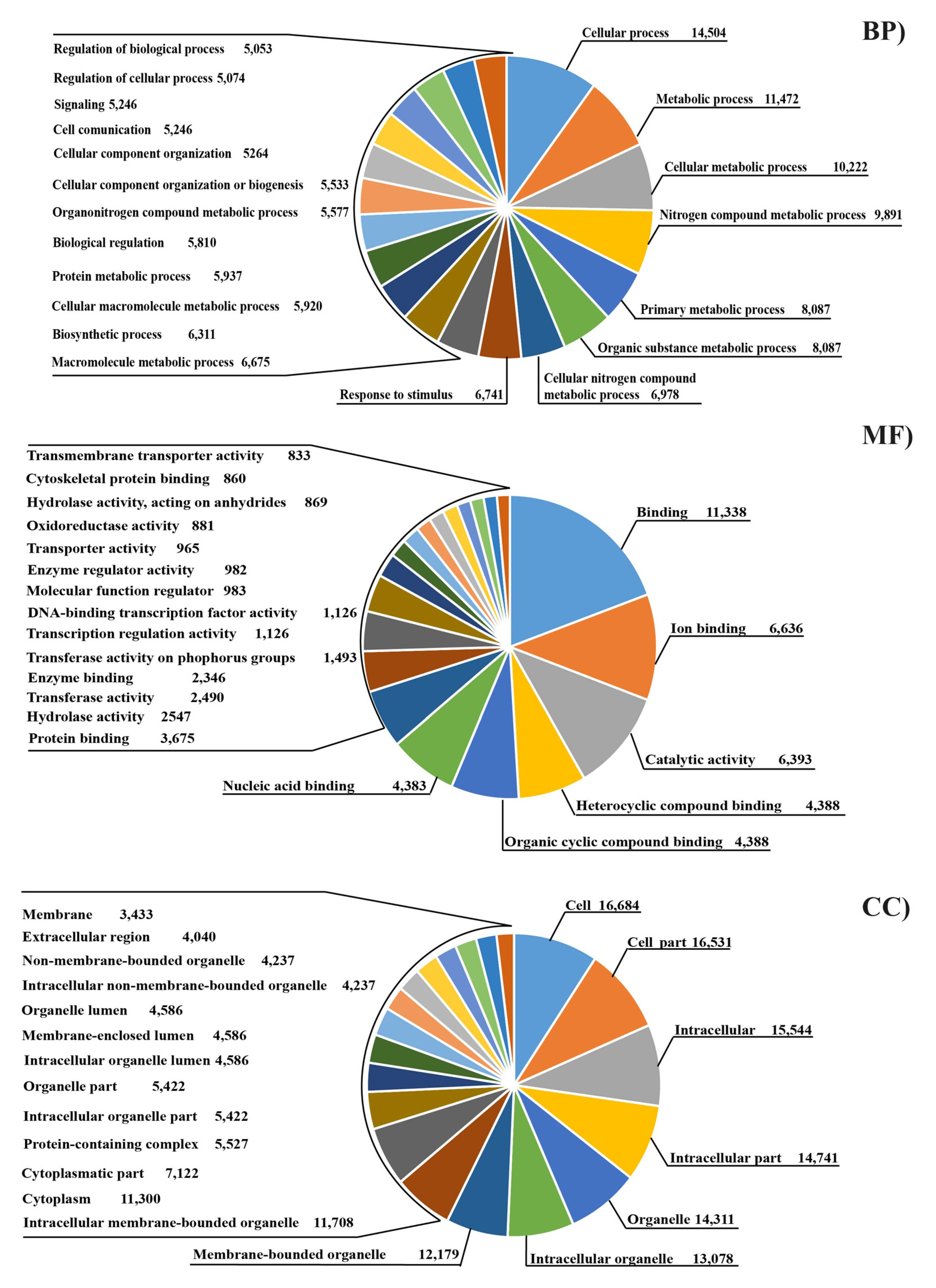 Animals 11 02707 g001 Animals 11 02707 g001