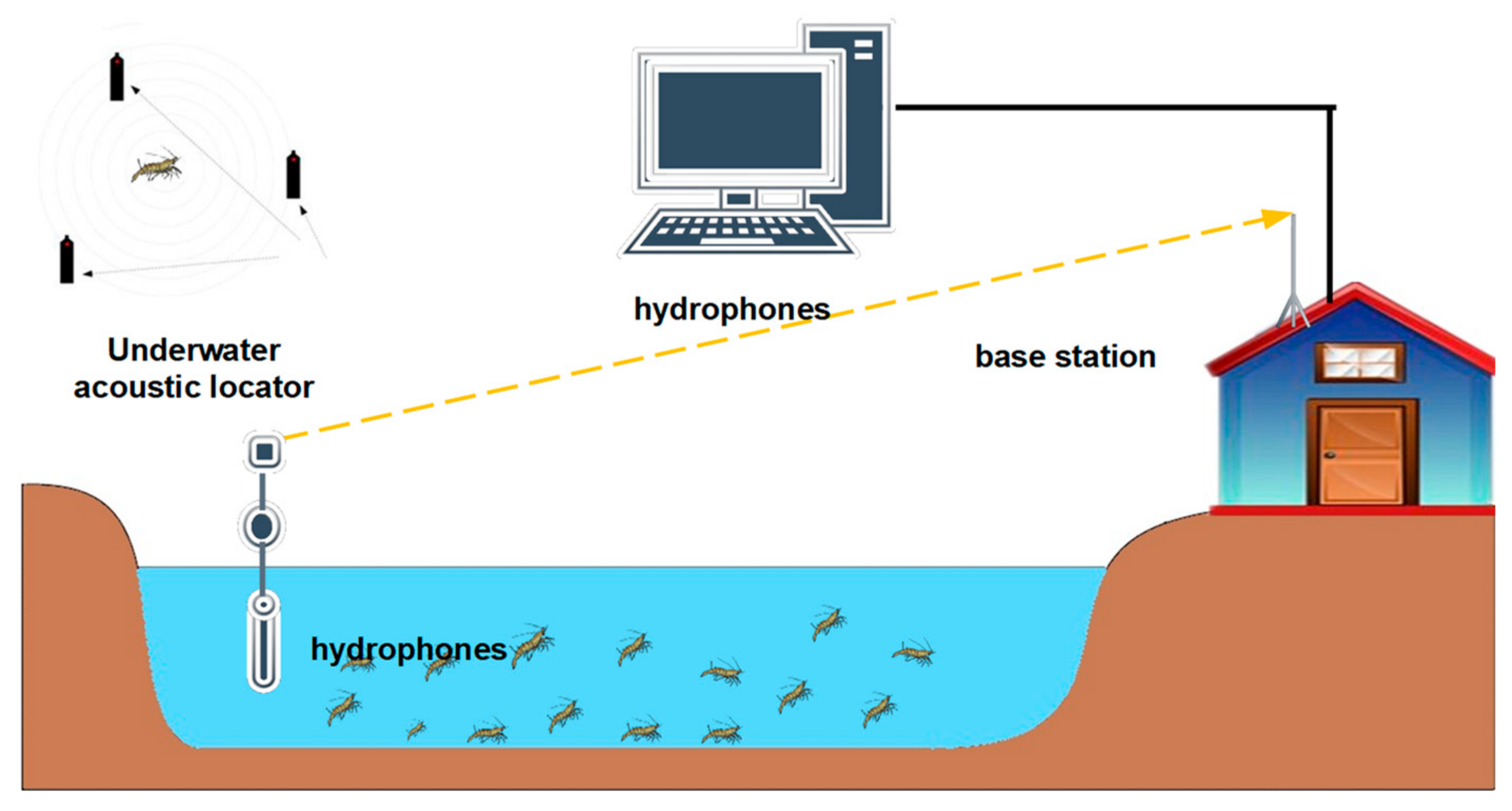 Animals 11 02709 g002