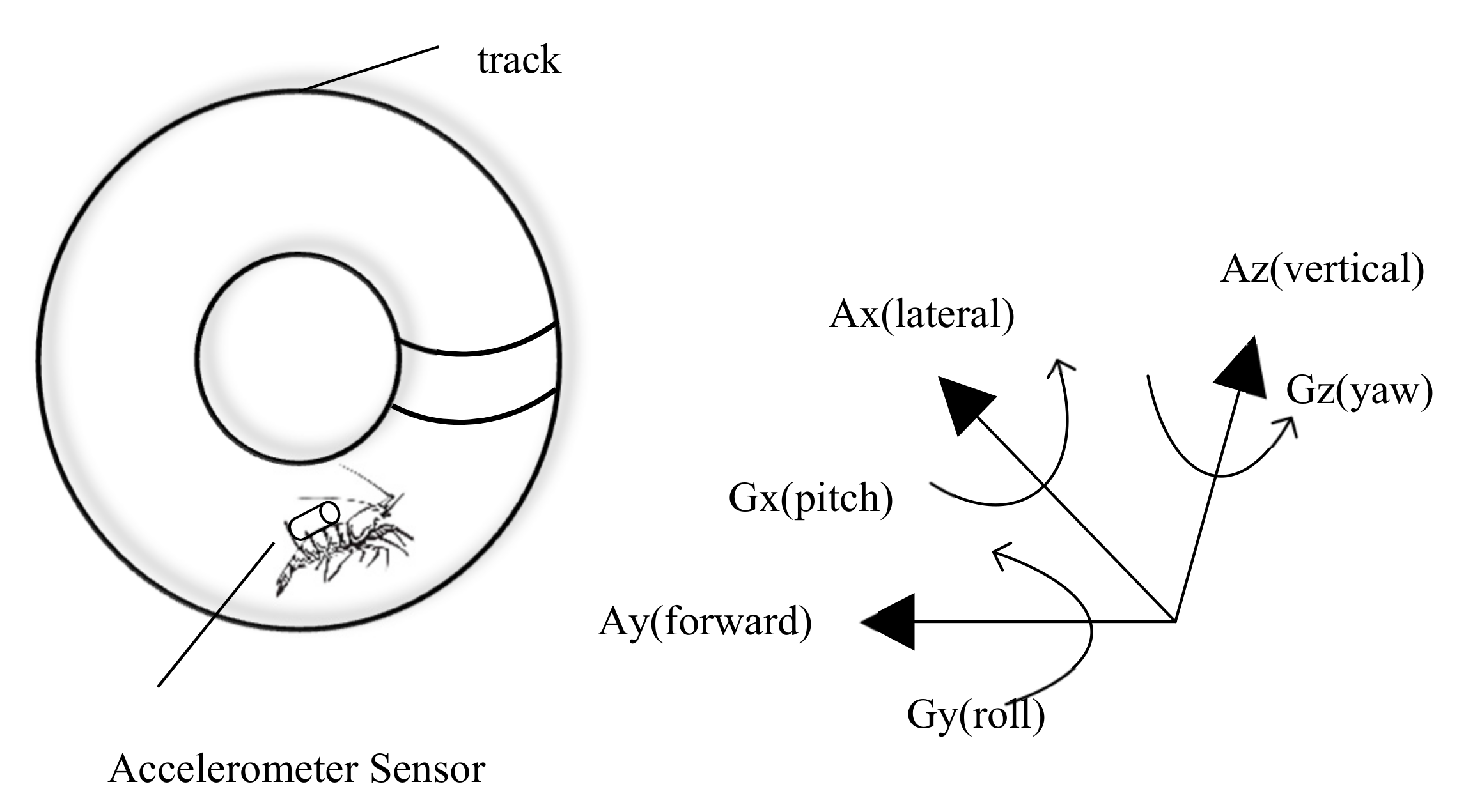 Animals 11 02709 g004