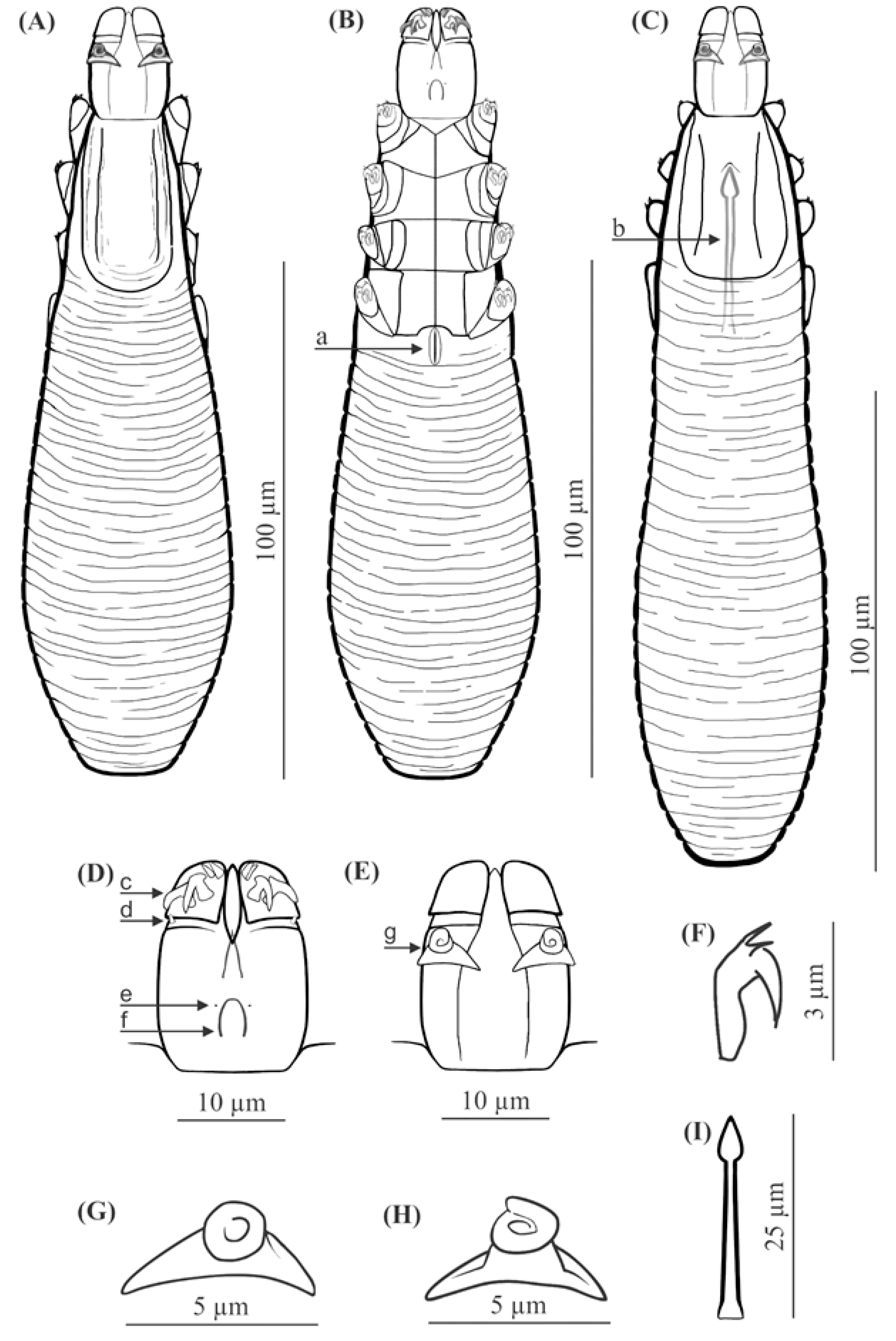 Animals 11 02712 g001 550