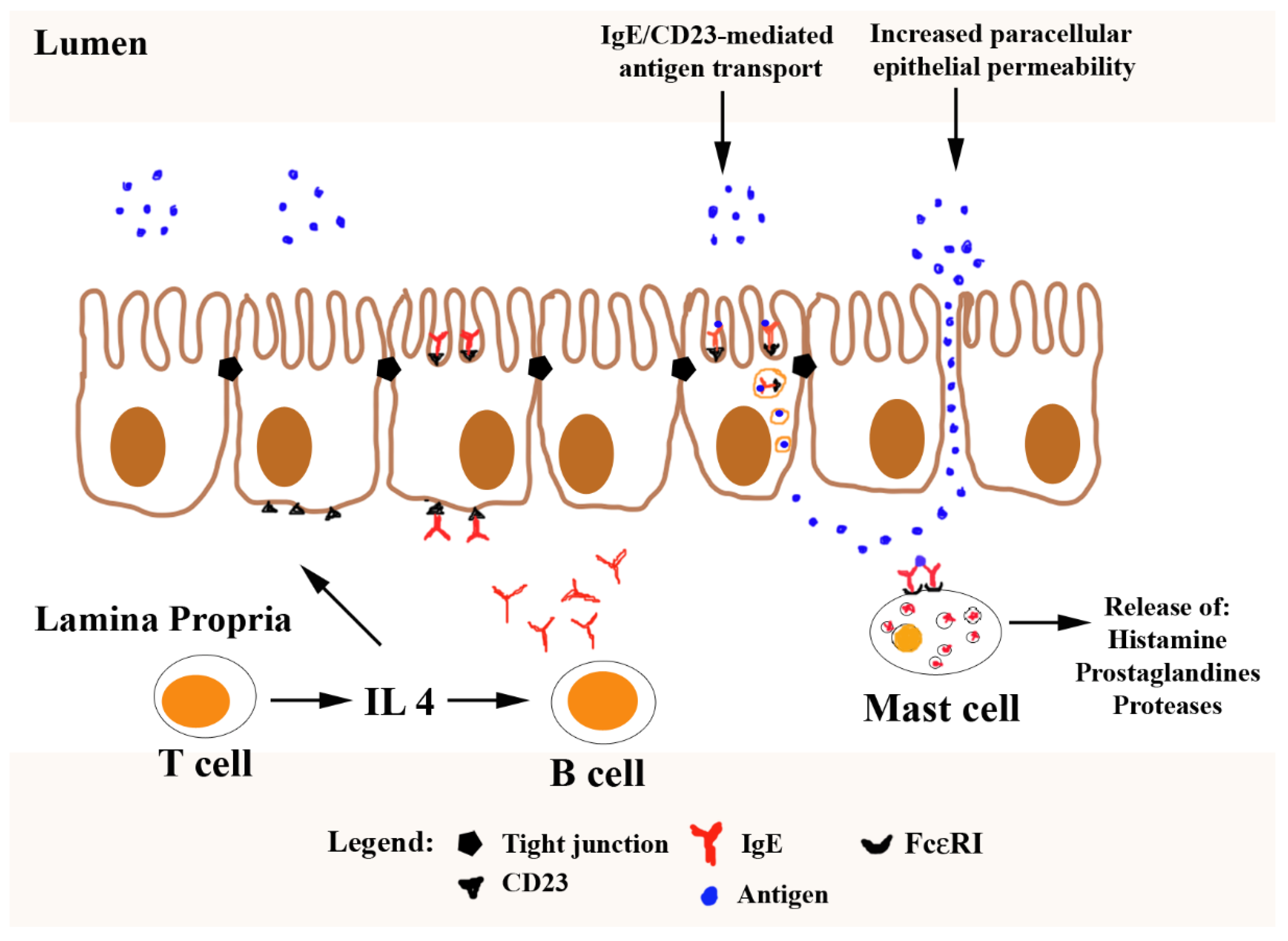 Animals 11 02713 g001 Animals 11 02713 g001