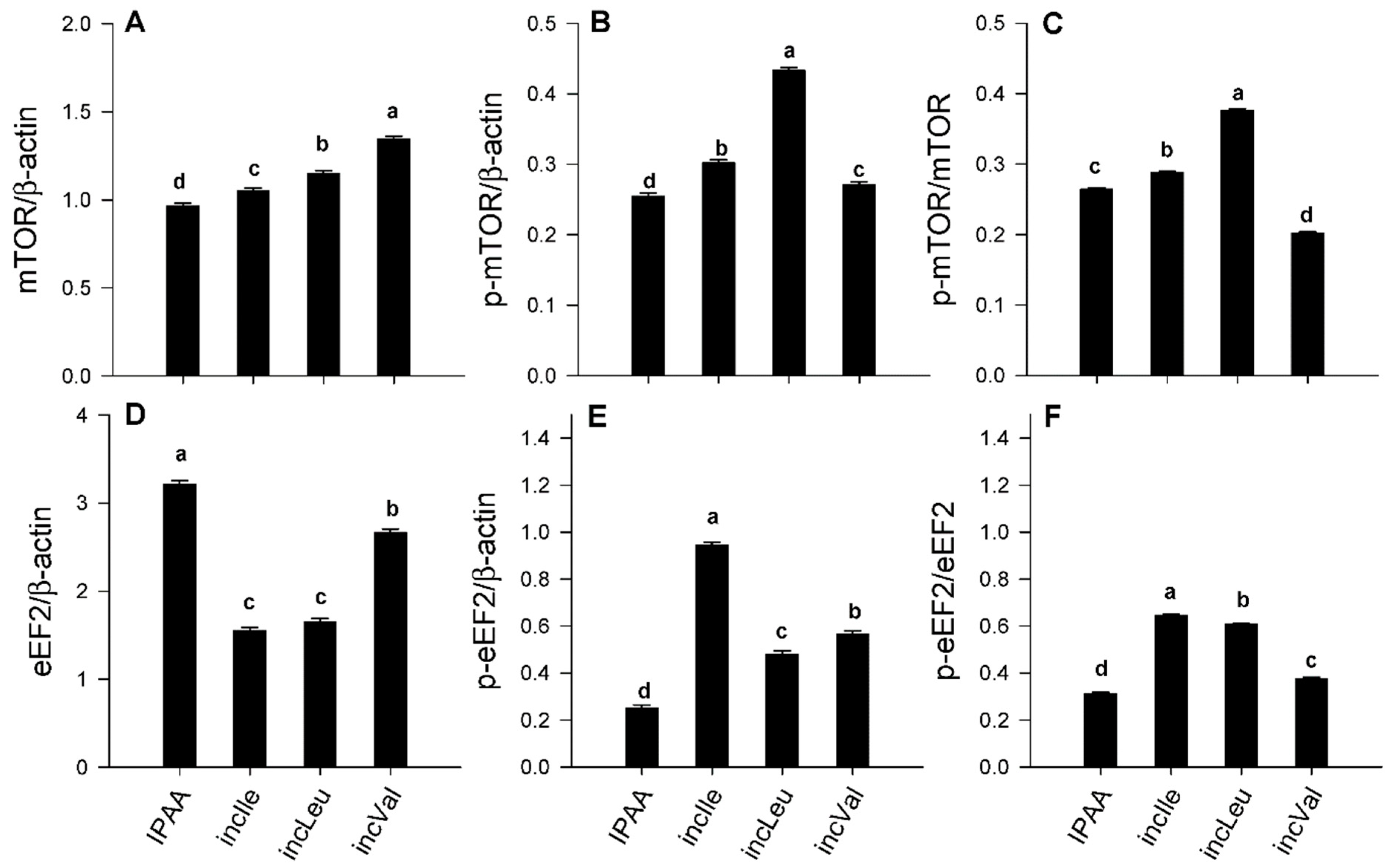 Animals 11 02714 g002