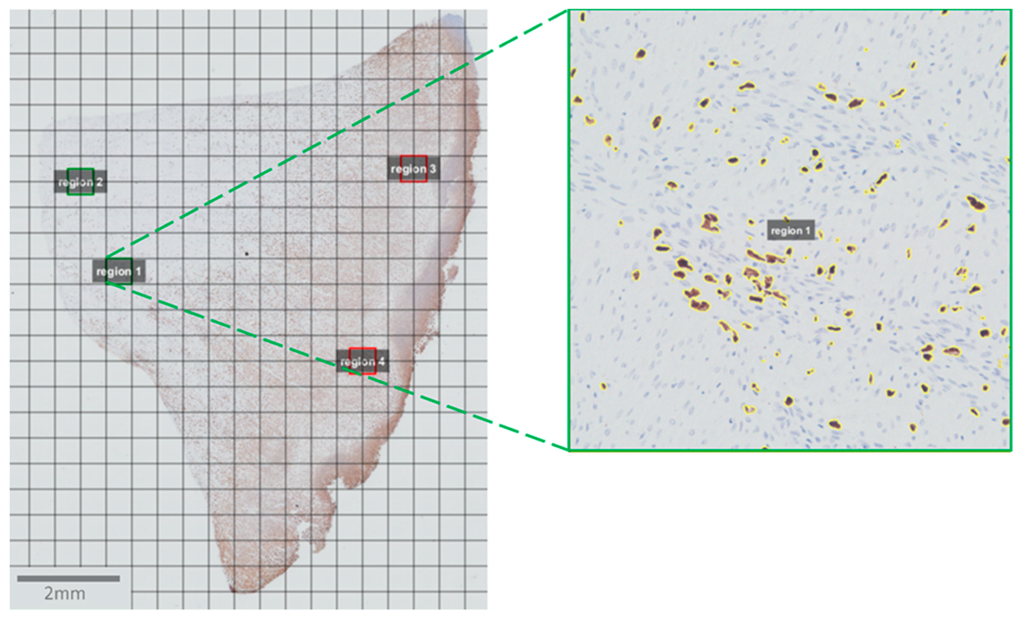 Animals 11 02728 g002