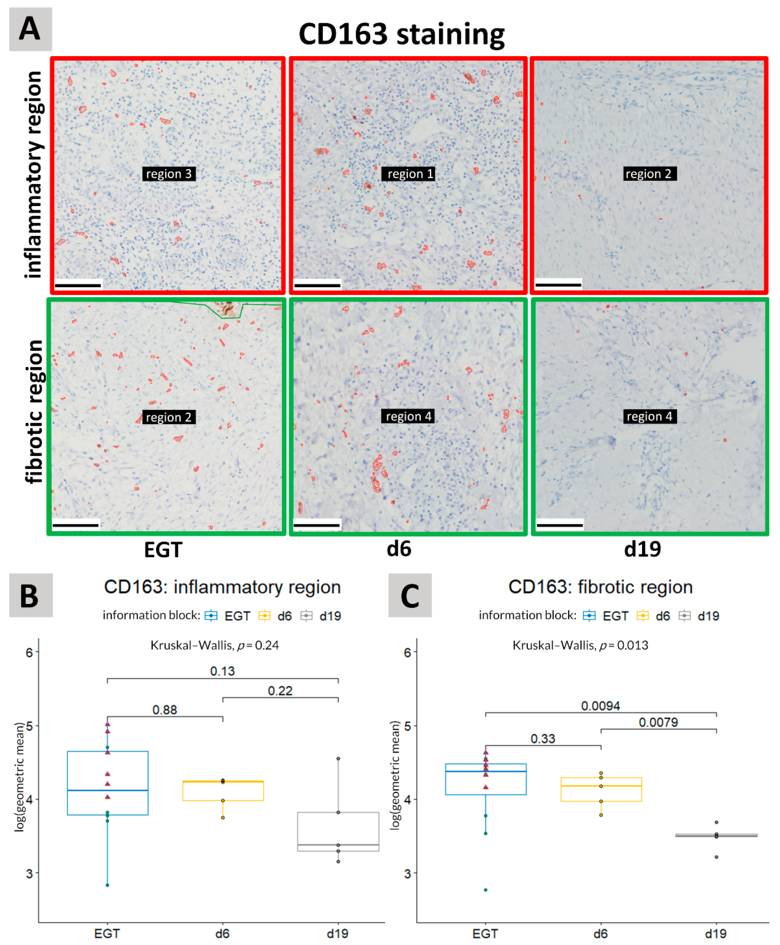 Animals 11 02728 g005