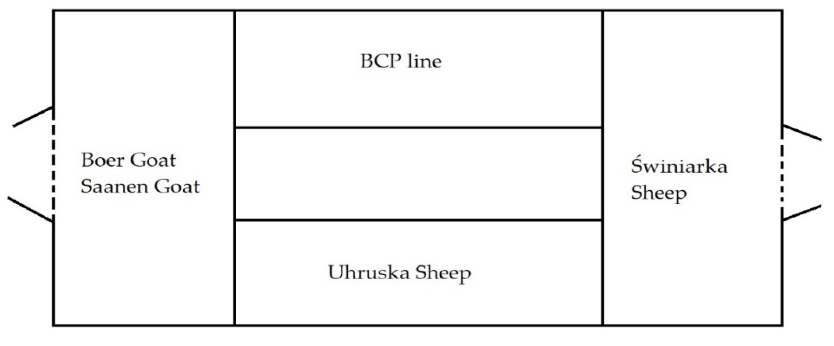 Animals 11 02734 g001