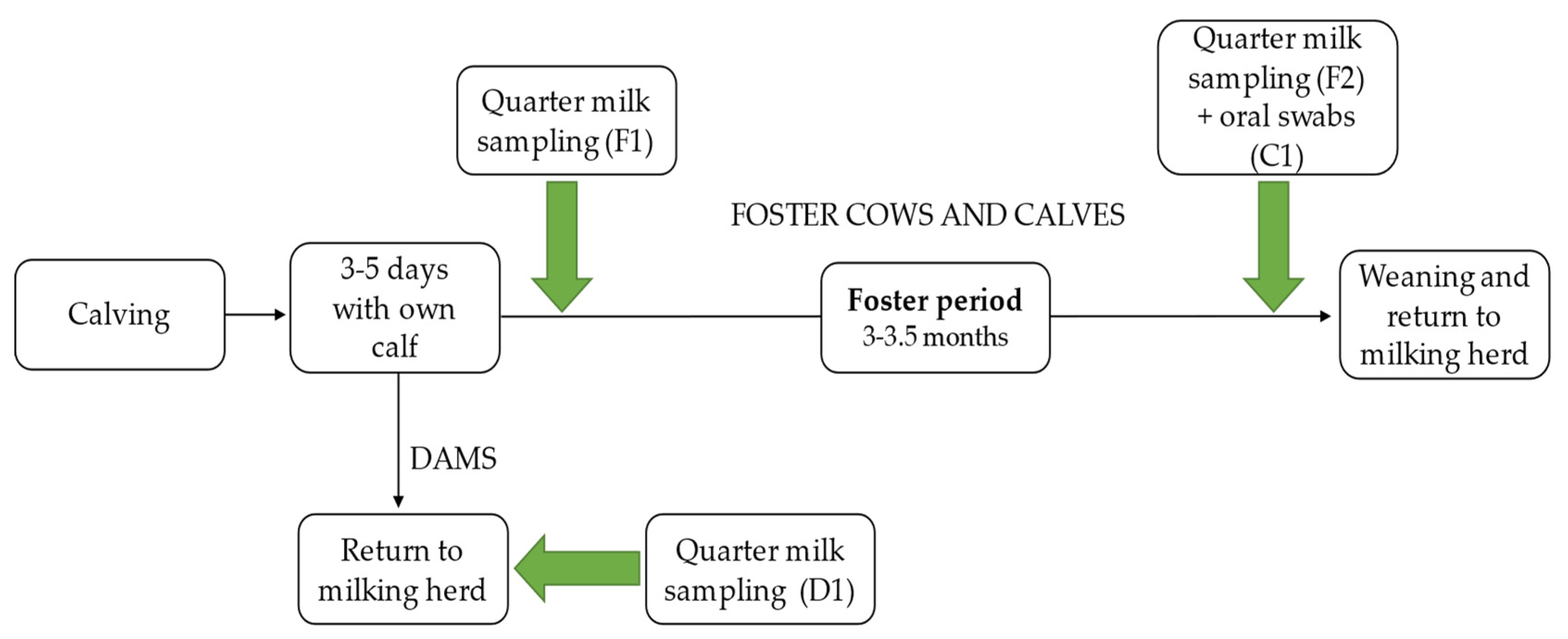 https://www.mdpi.com/animals/animals-11-02738/article_deploy/html/images/animals-11-02738-g001.png