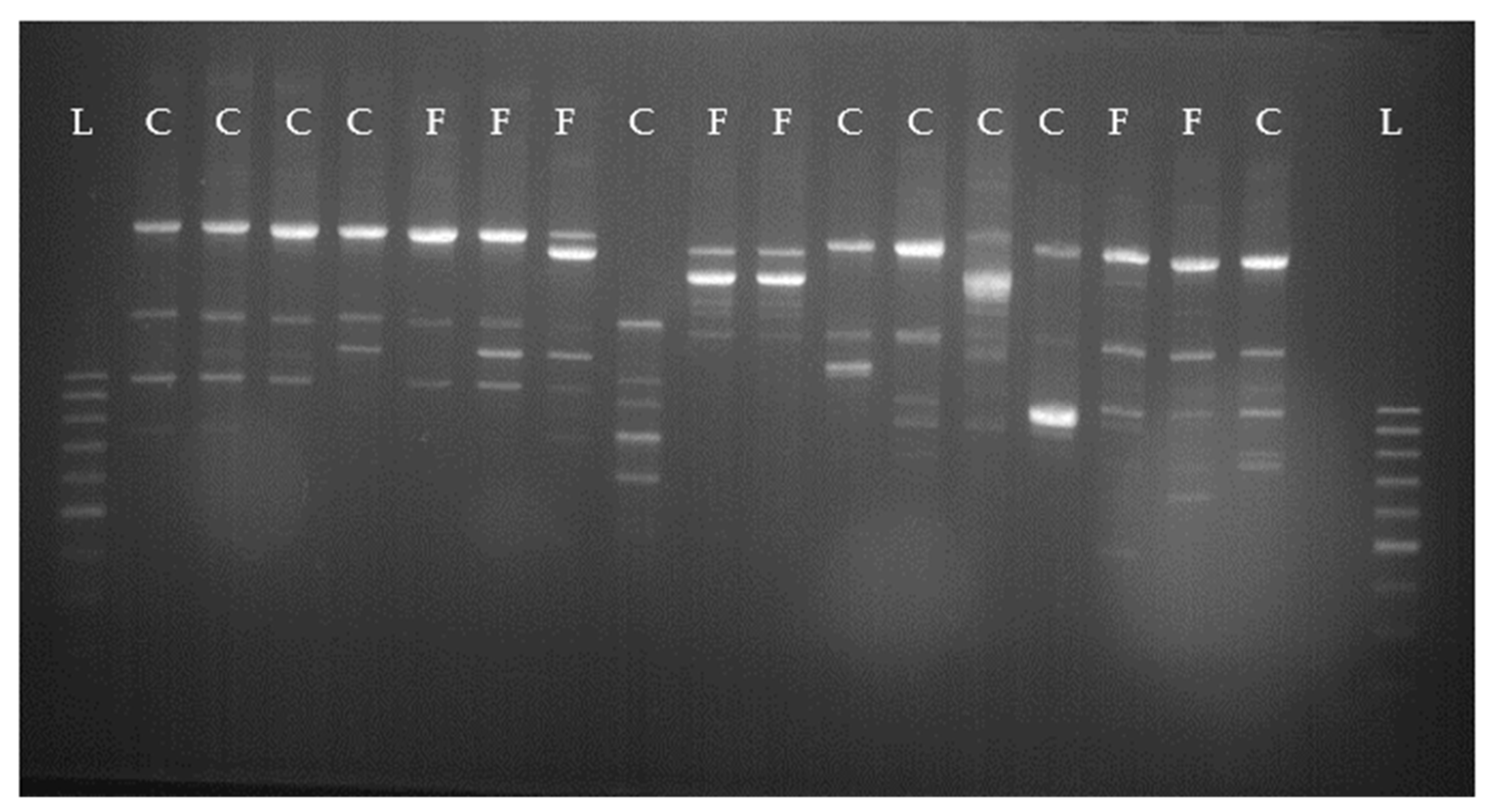 Animals 11 02738 g003 Animals 11 02738 g003