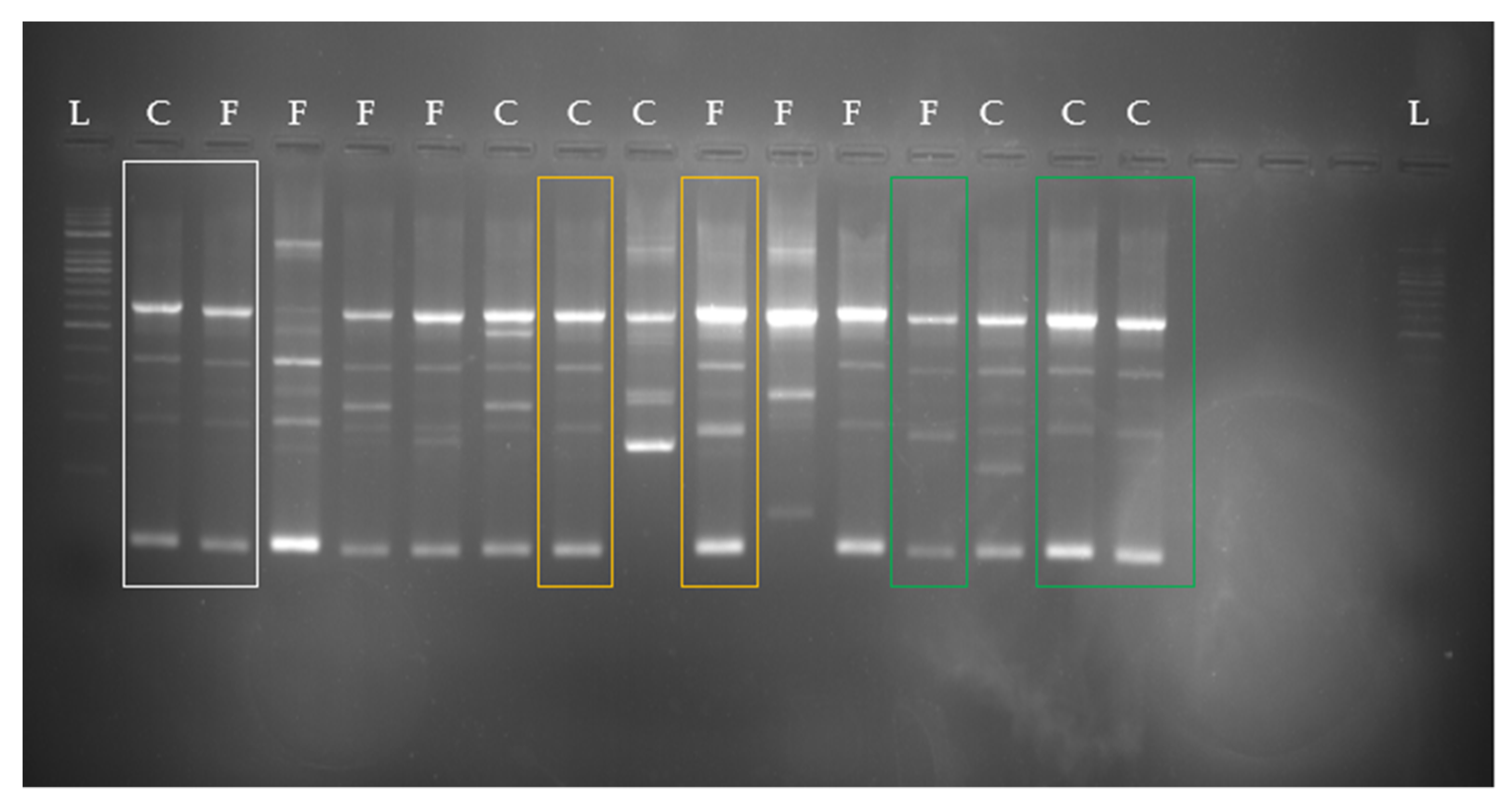 Animals 11 02738 g004 Animals 11 02738 g004