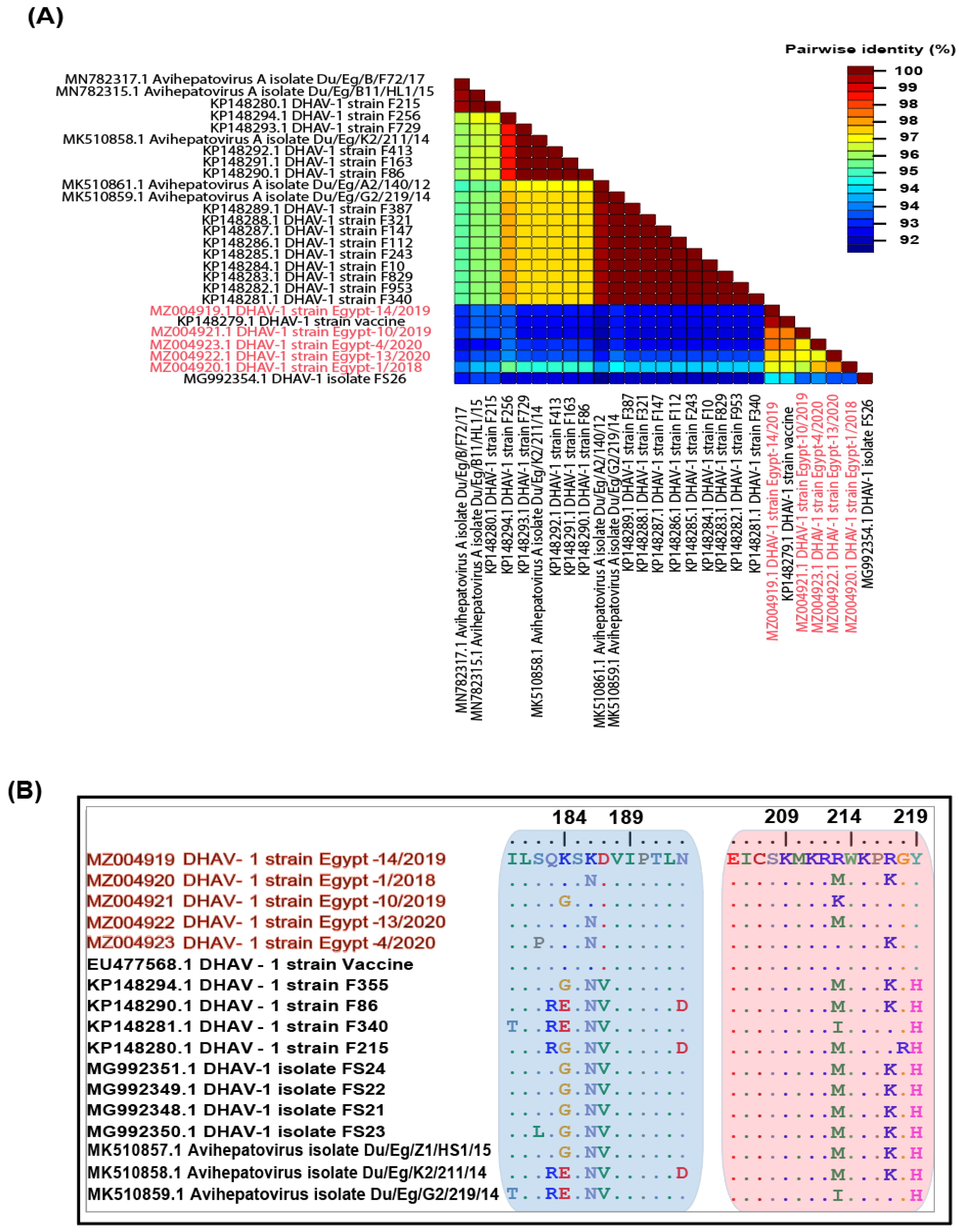 Animals 11 02741 g001 Animals 11 02741 g001