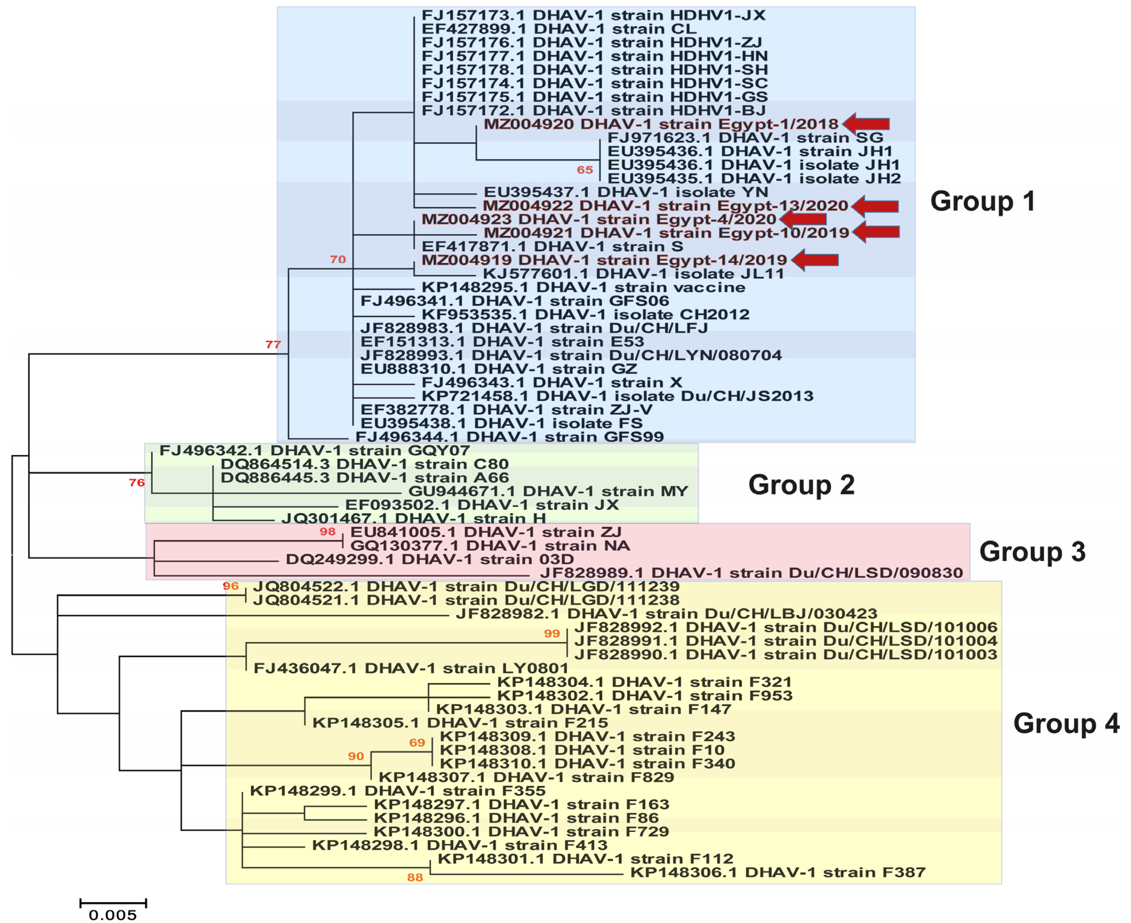 Animals 11 02741 g003 Animals 11 02741 g003
