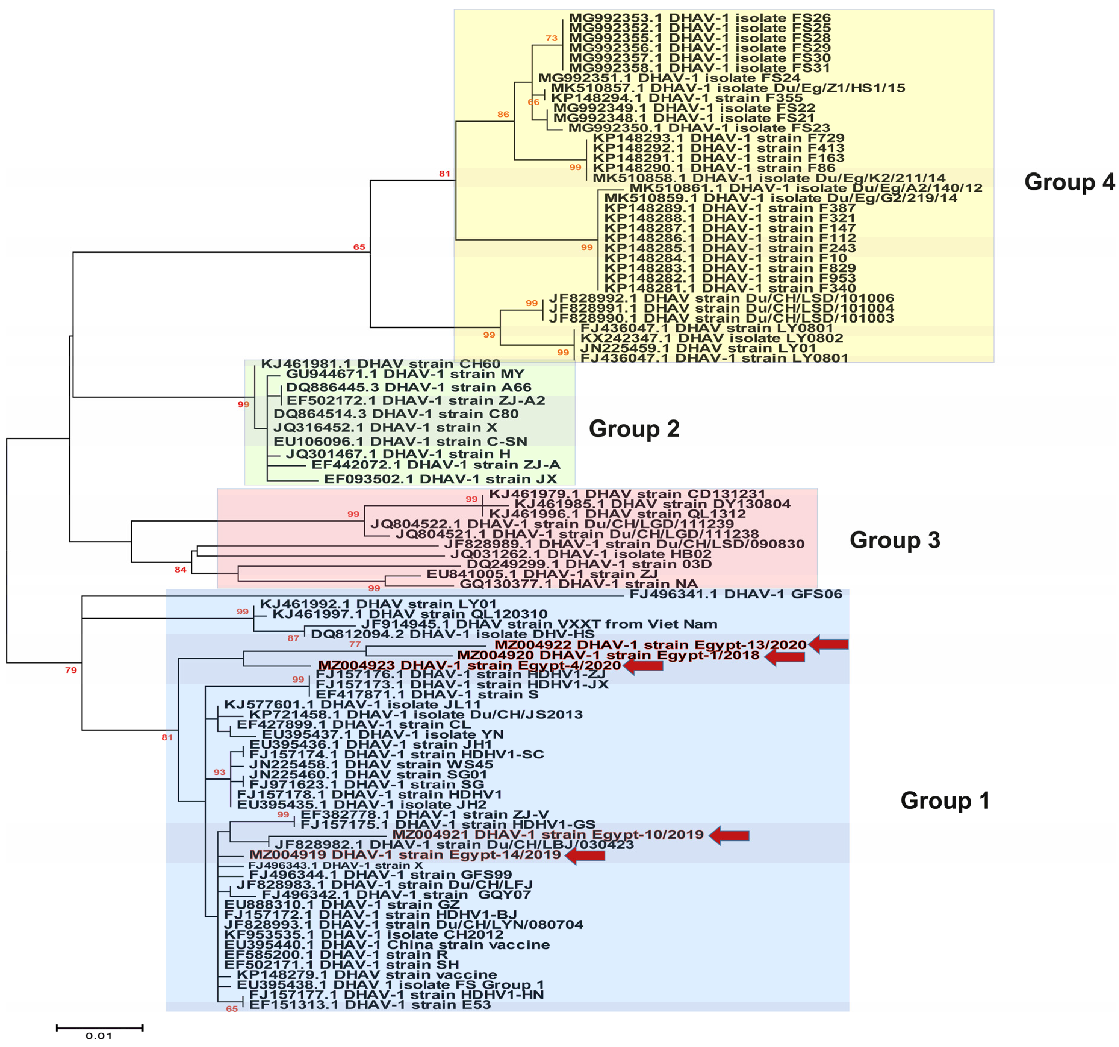 Animals 11 02741 g004 Animals 11 02741 g004