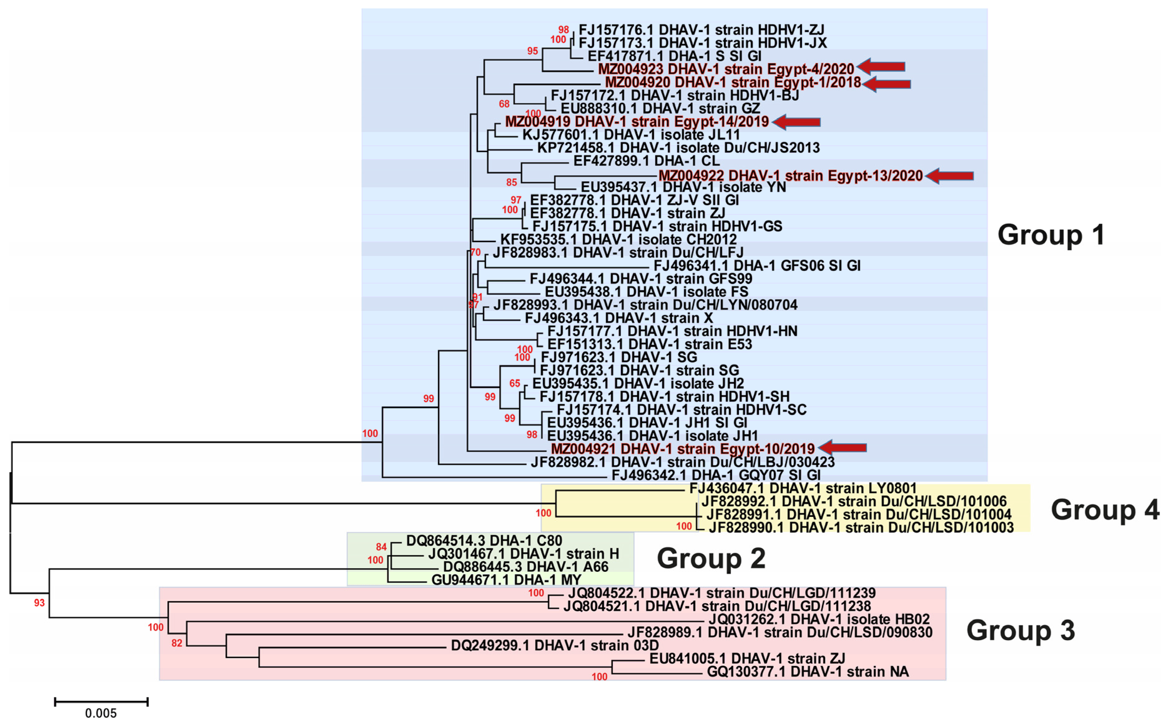 Animals 11 02741 g005 Animals 11 02741 g005