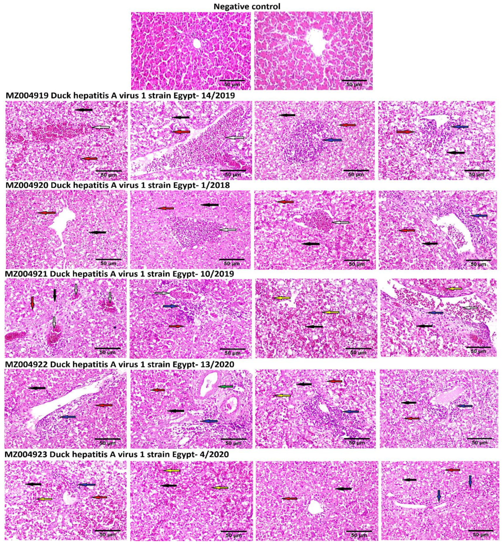 Animals 11 02741 g007 Animals 11 02741 g007