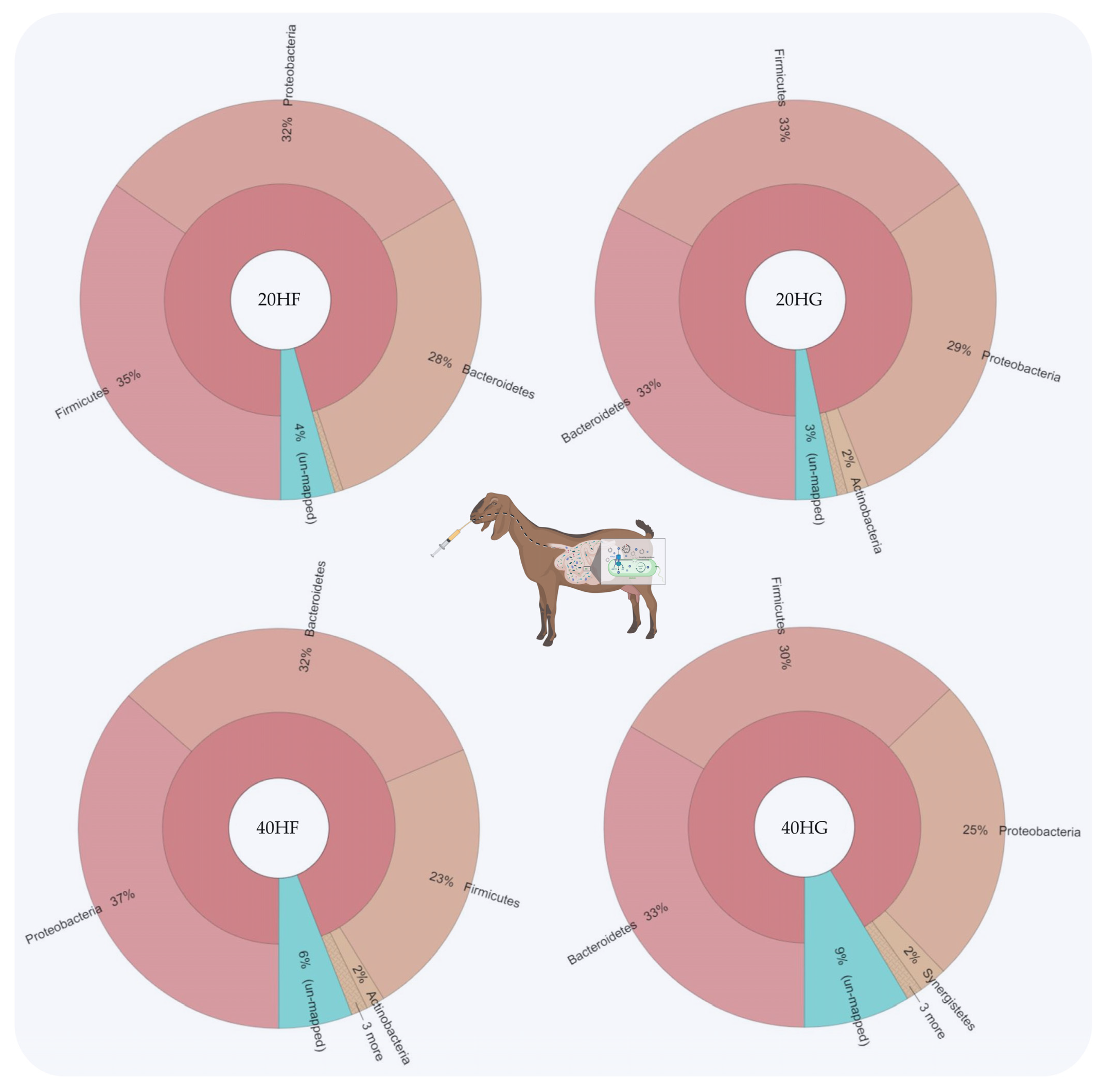 Animals 11 02746 g001 Animals 11 02746 g001