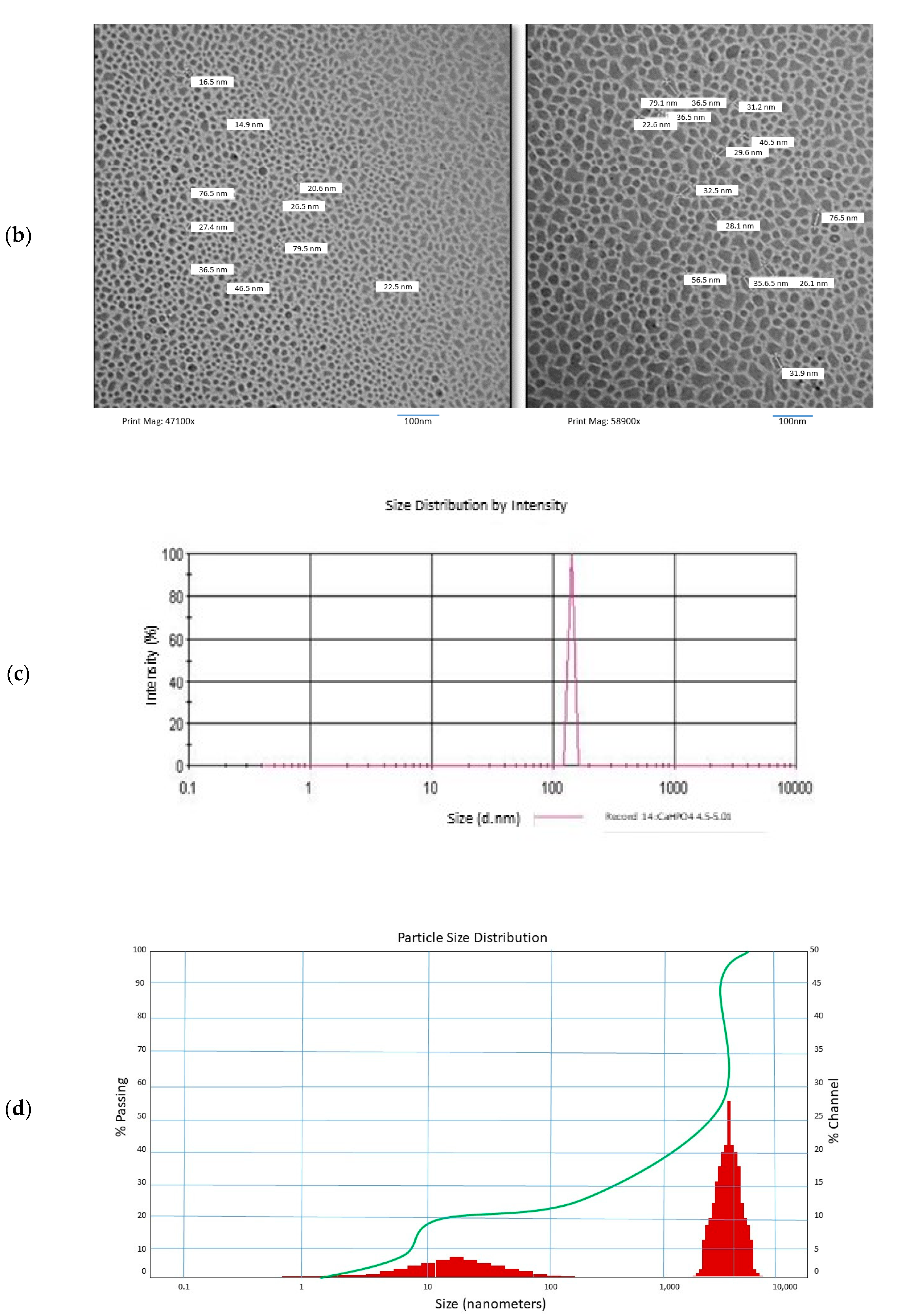 Animals 11 02773 g002b Animals 11 02773 g002b