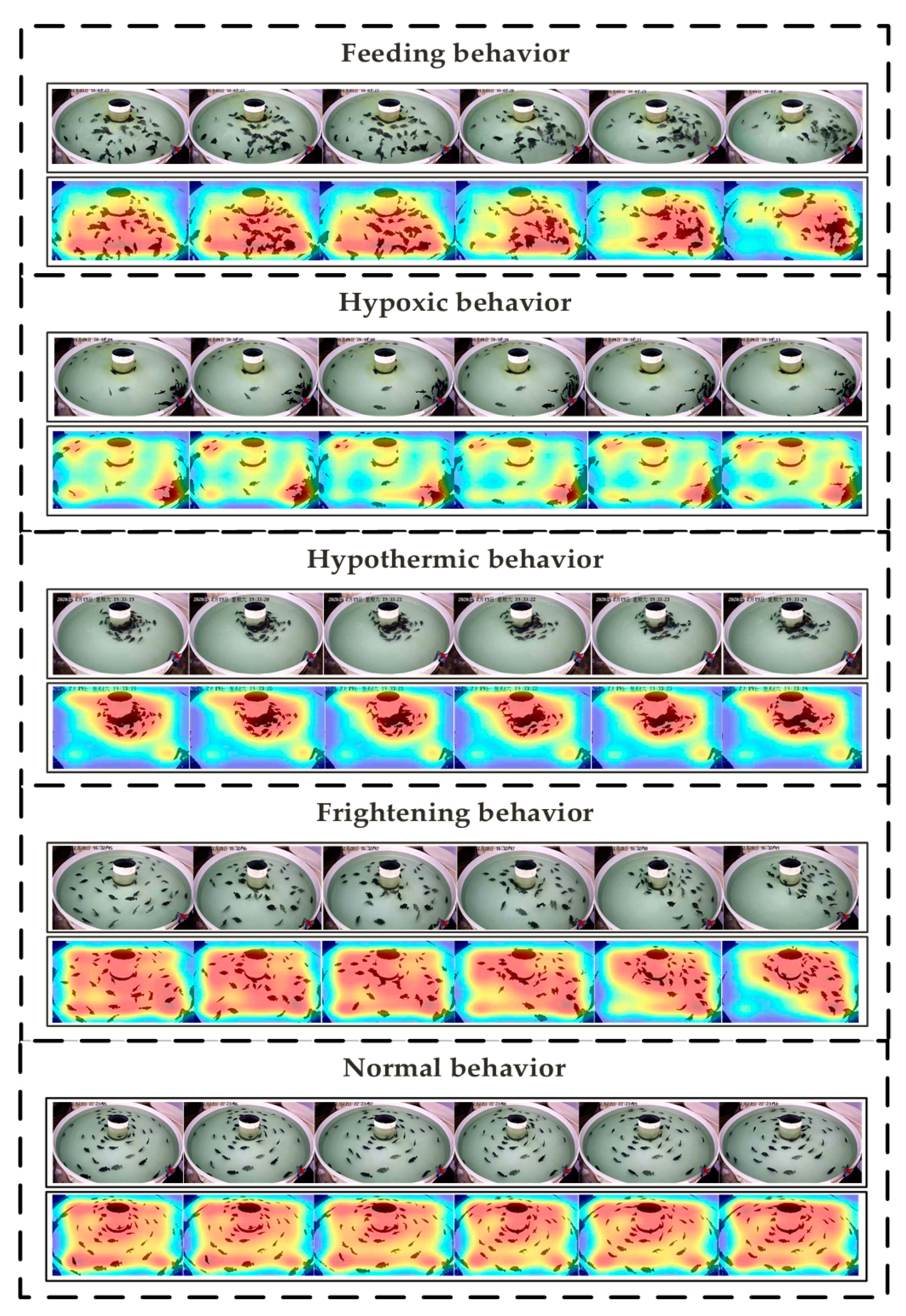 Animals 11 02774 g009 550